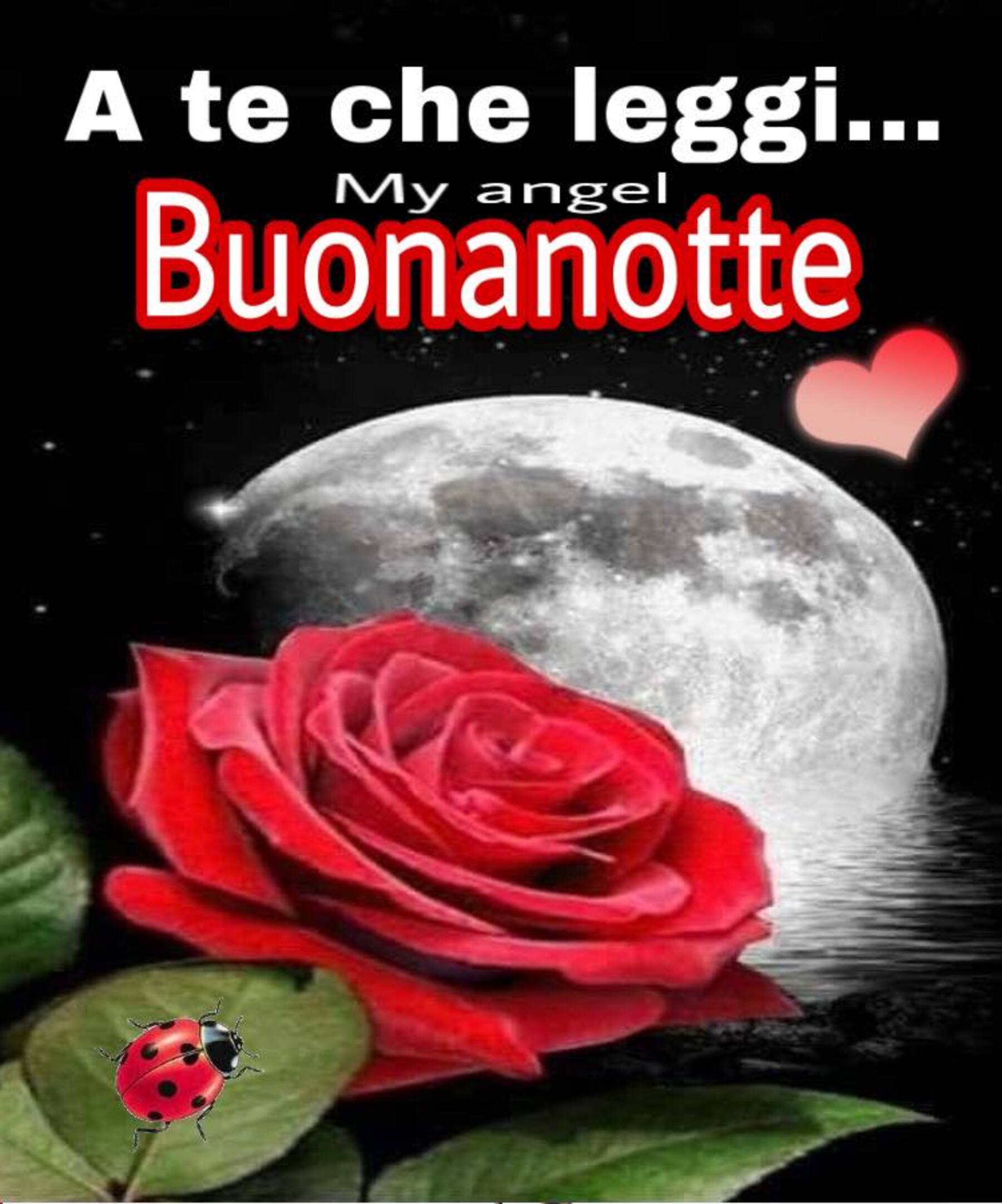 A te che leggi buonanotte