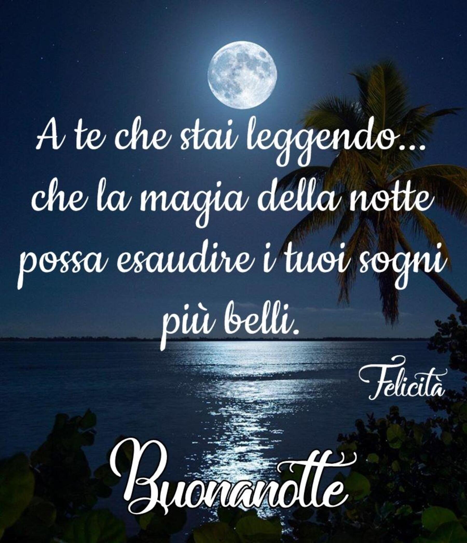 A te che stai leggendo che la magia della notte possa esaudire i tuoi sogni più belli buona notte