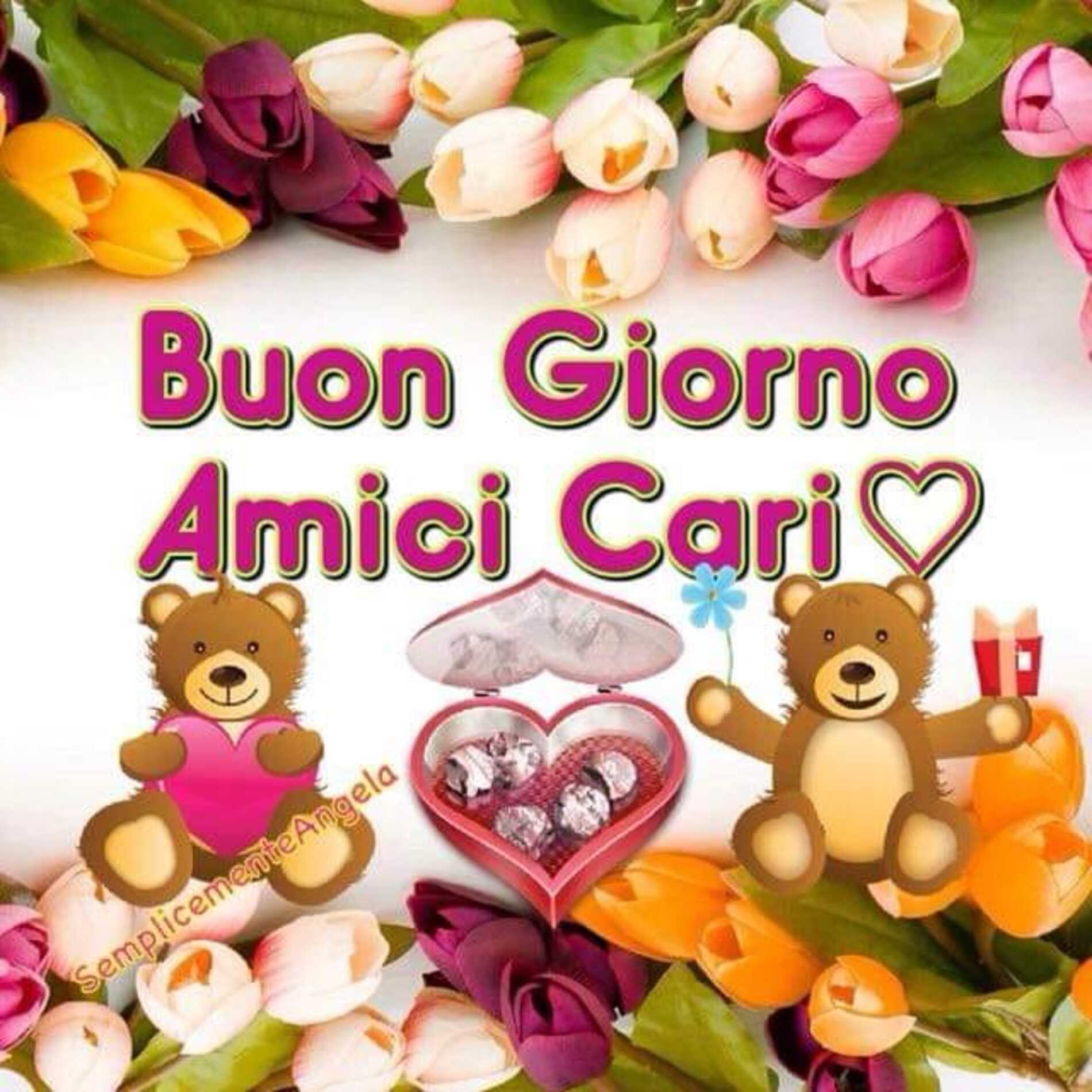 A tutti di cuore buona giornata 12