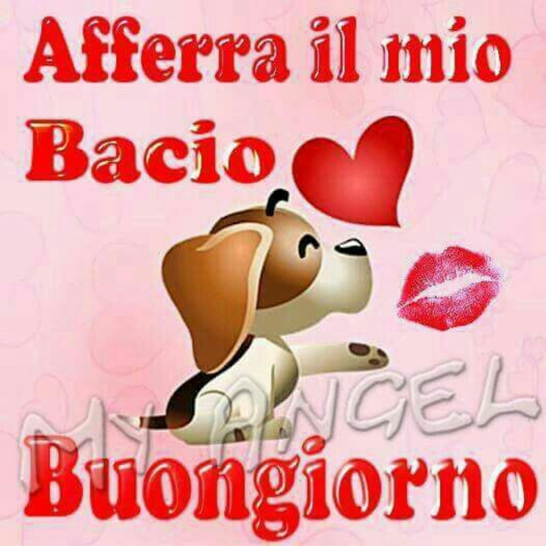 Afferra il mio bacio buongiorno