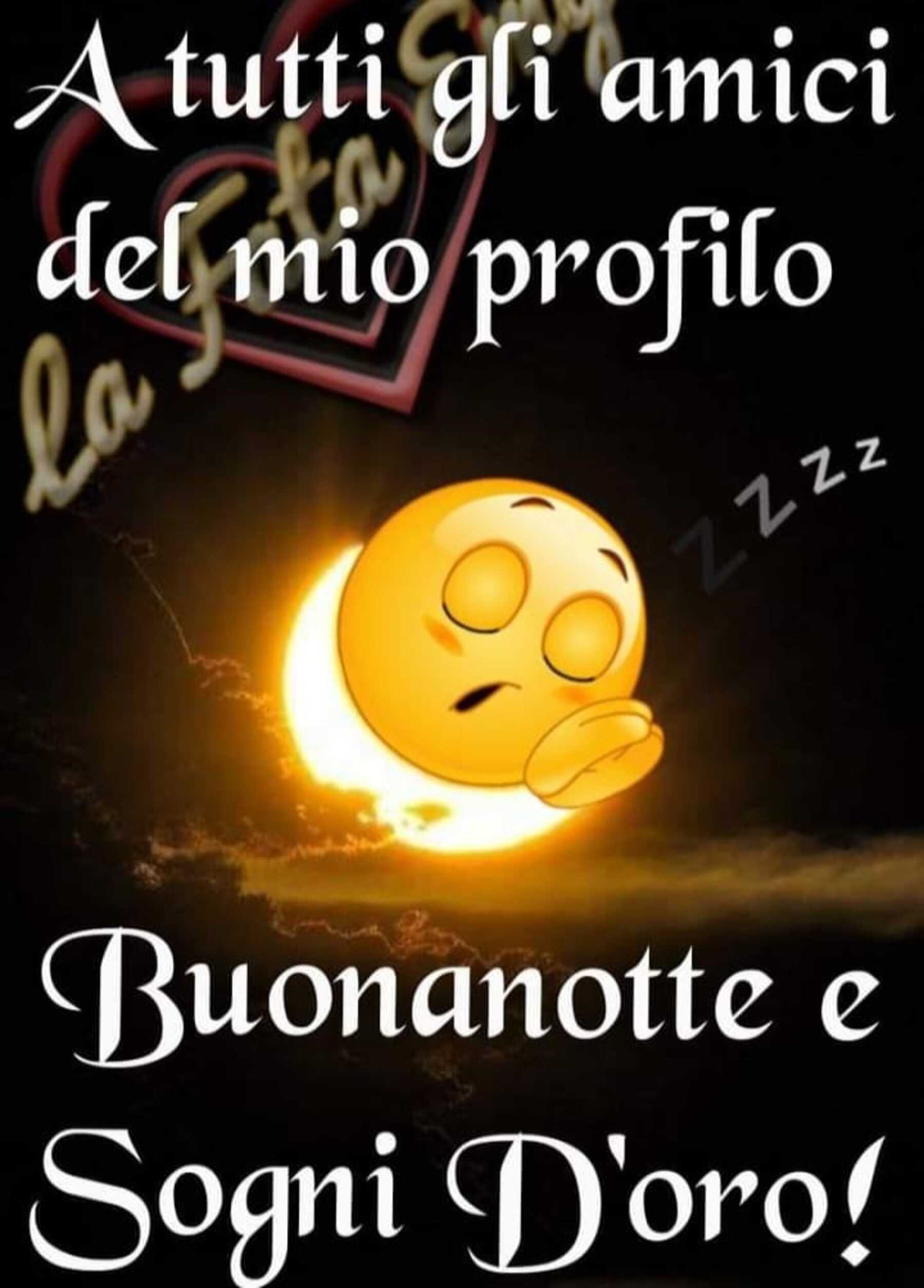 Amici a domani buona notte 13