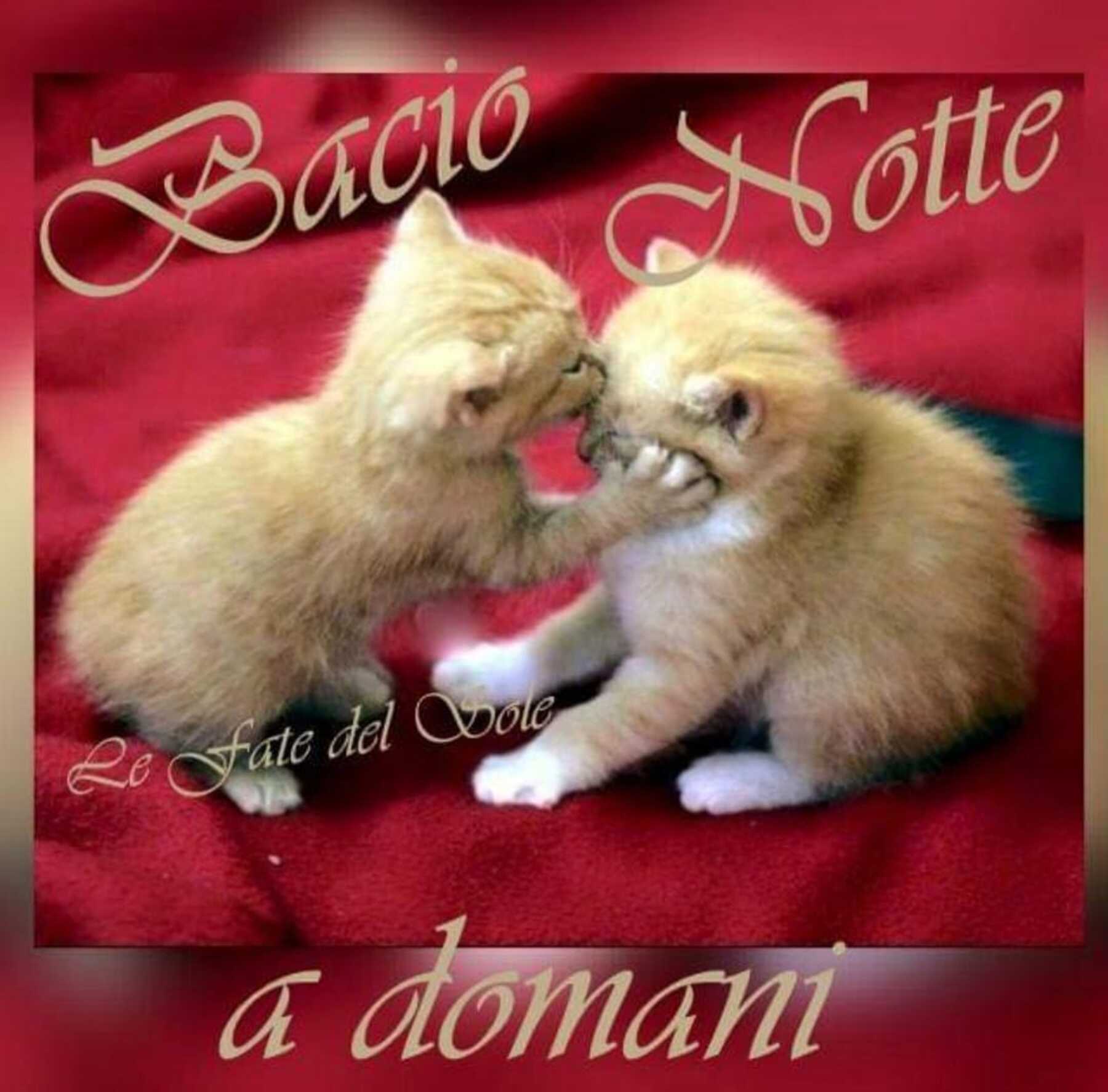 Bacio Notte a domani