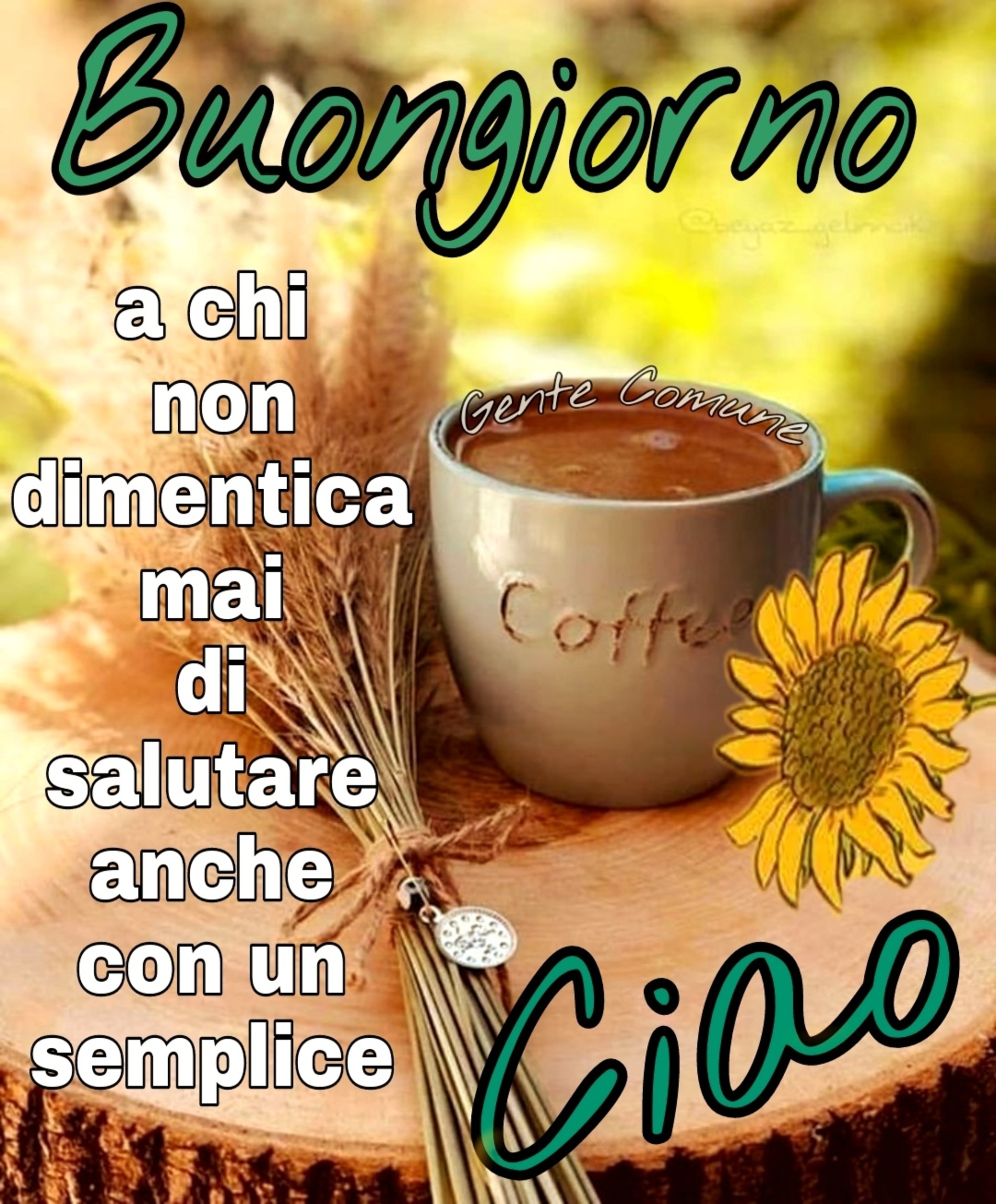 Bgiorno 10