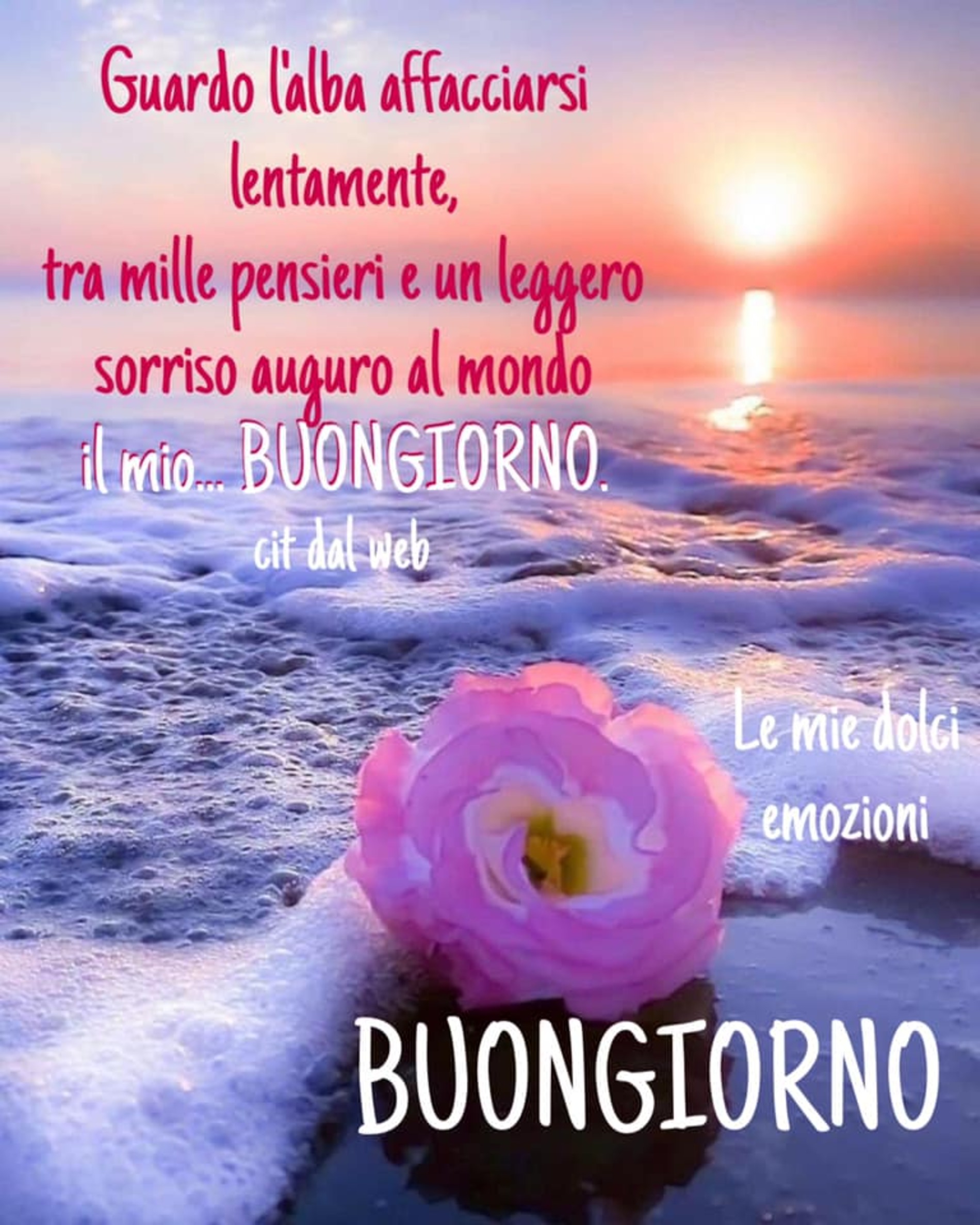 Buon giorno amici cari 12