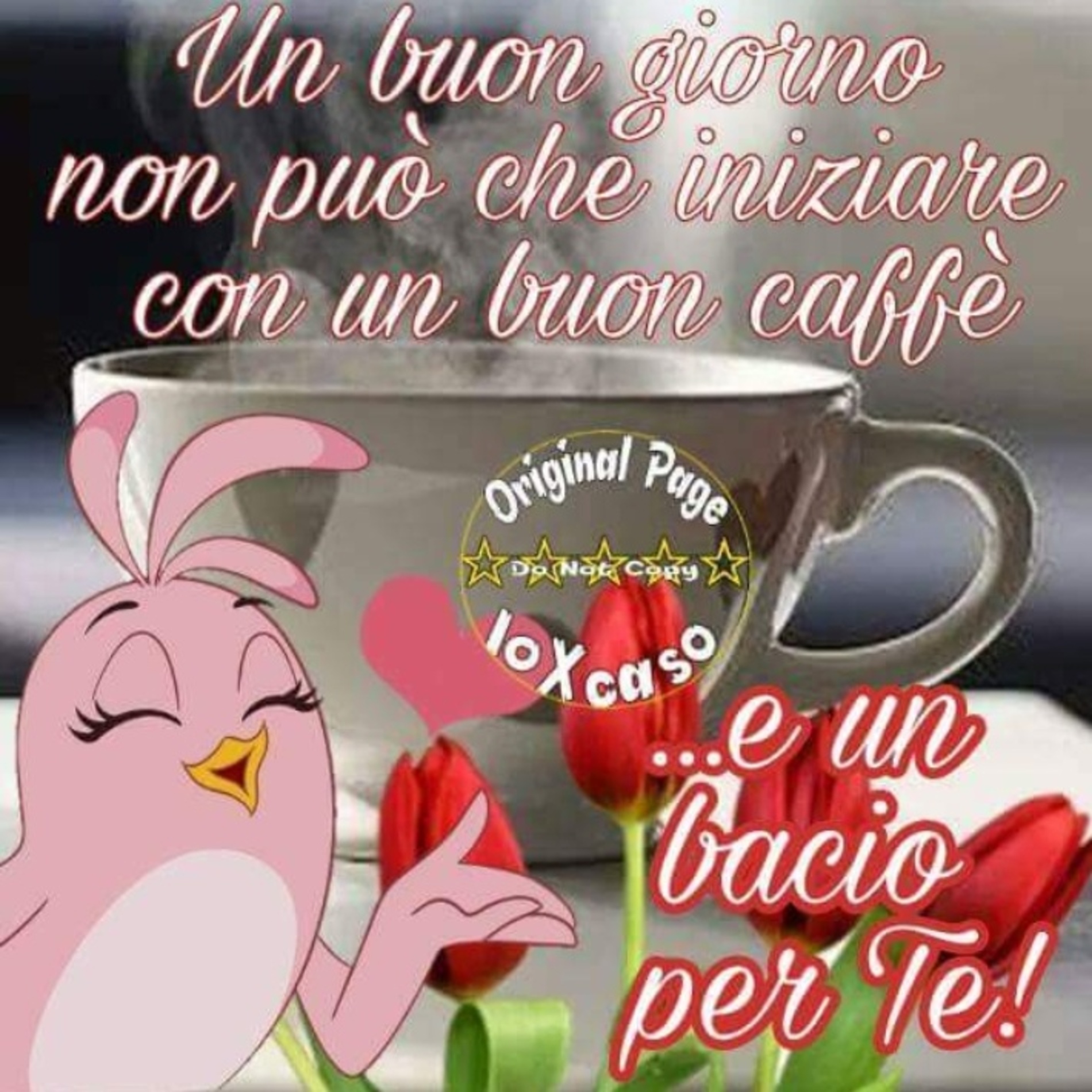 Buona Giornata 12