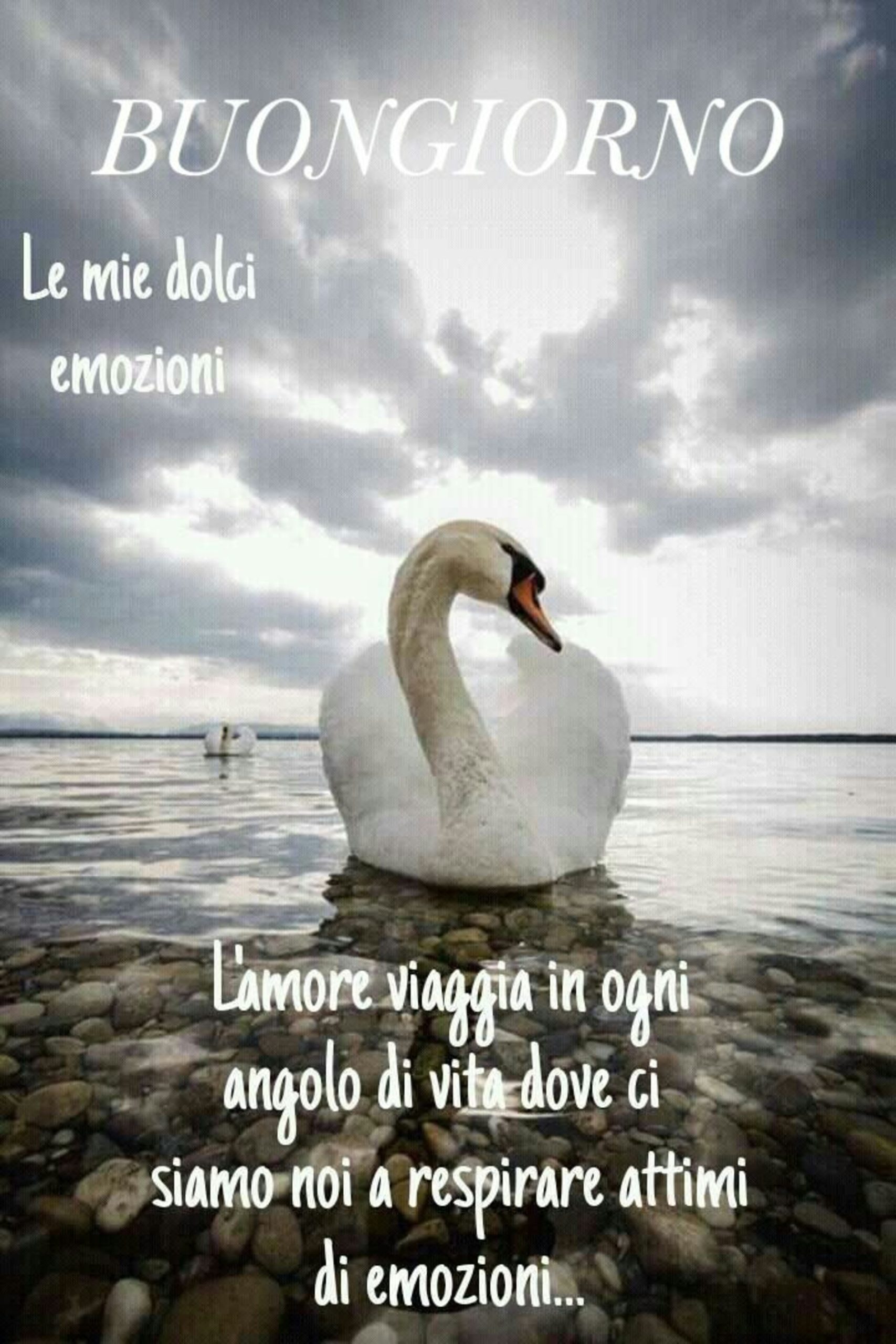 Buona Giornata amici di Facebook 14