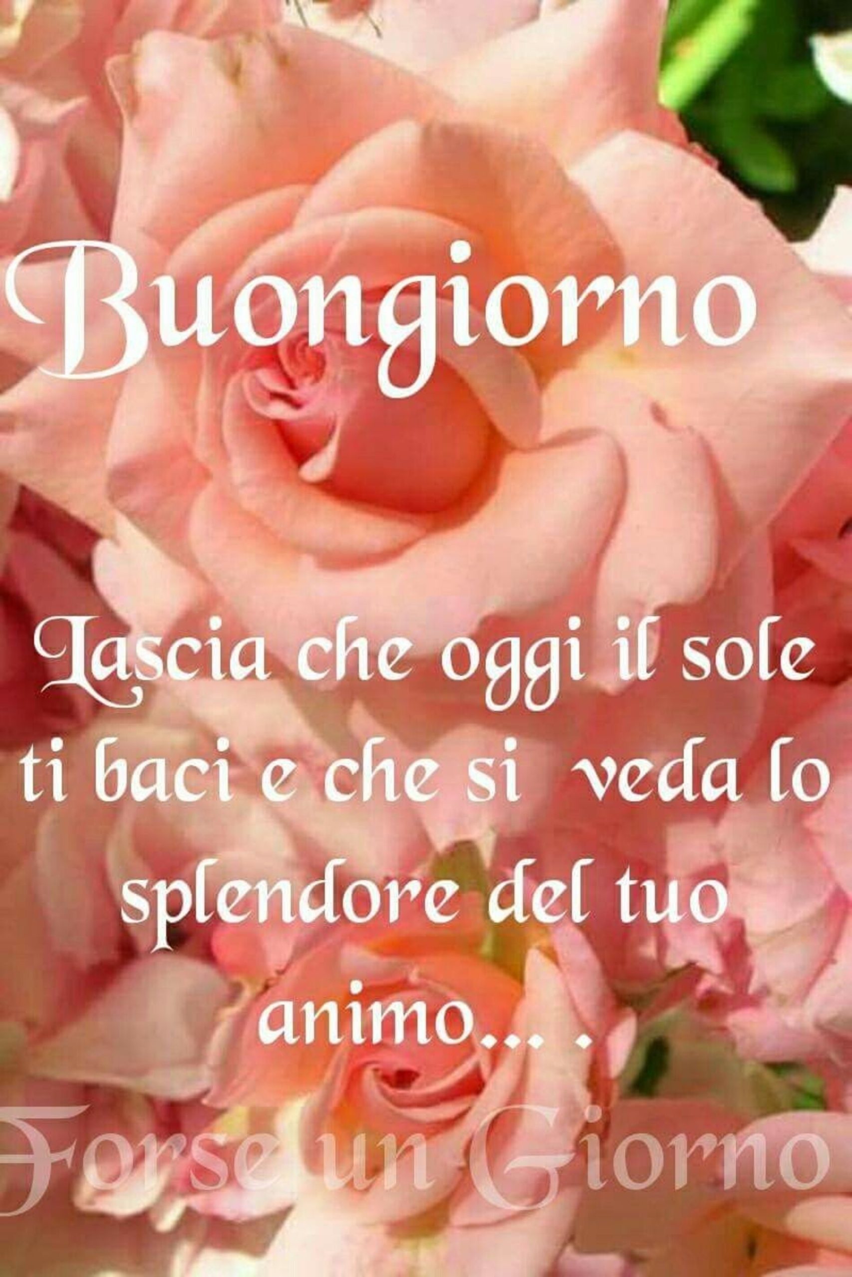 Buona Giornata amici di Facebook 7