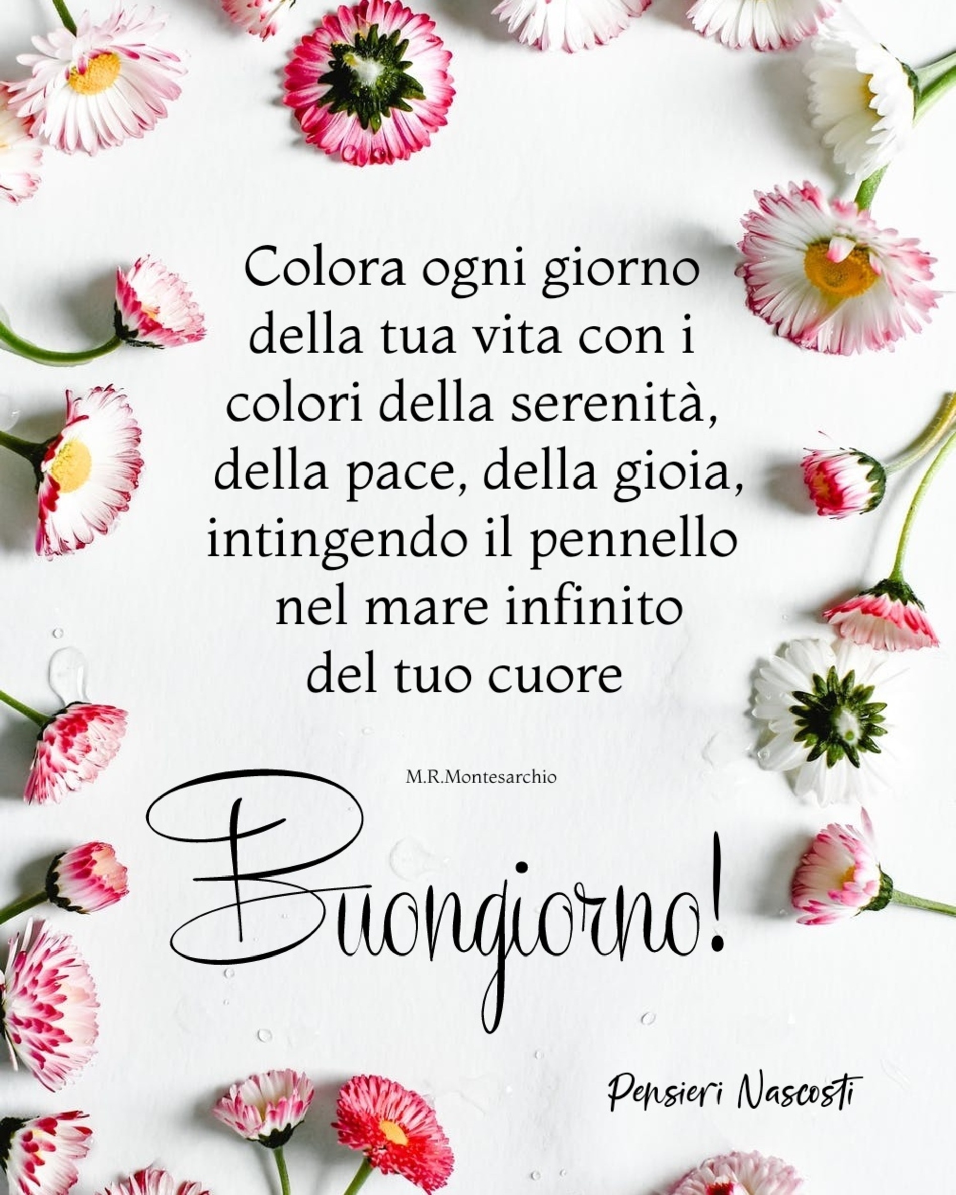 Buona Giornata amici di Facebook 8