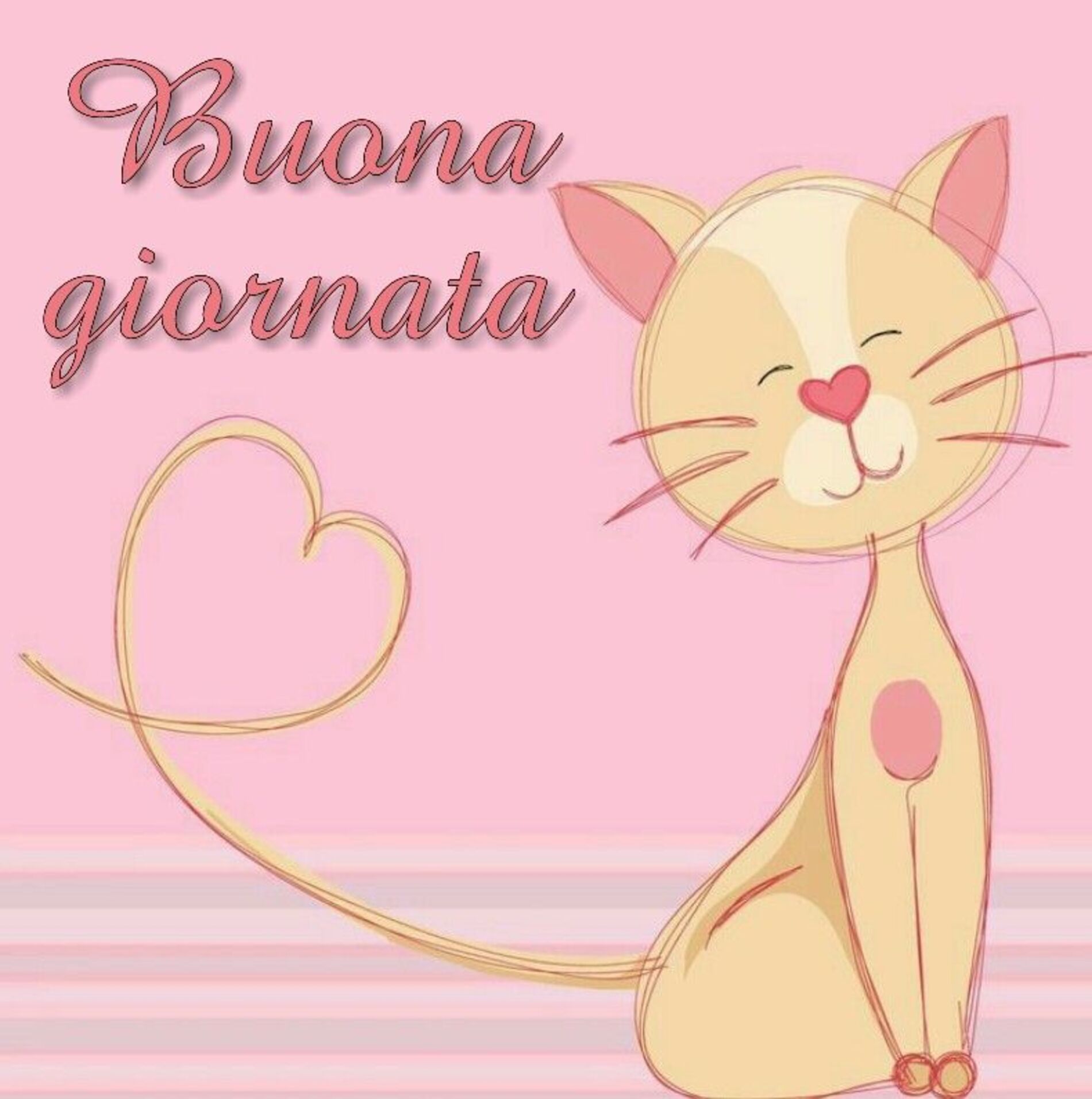 Buona giornata gatto