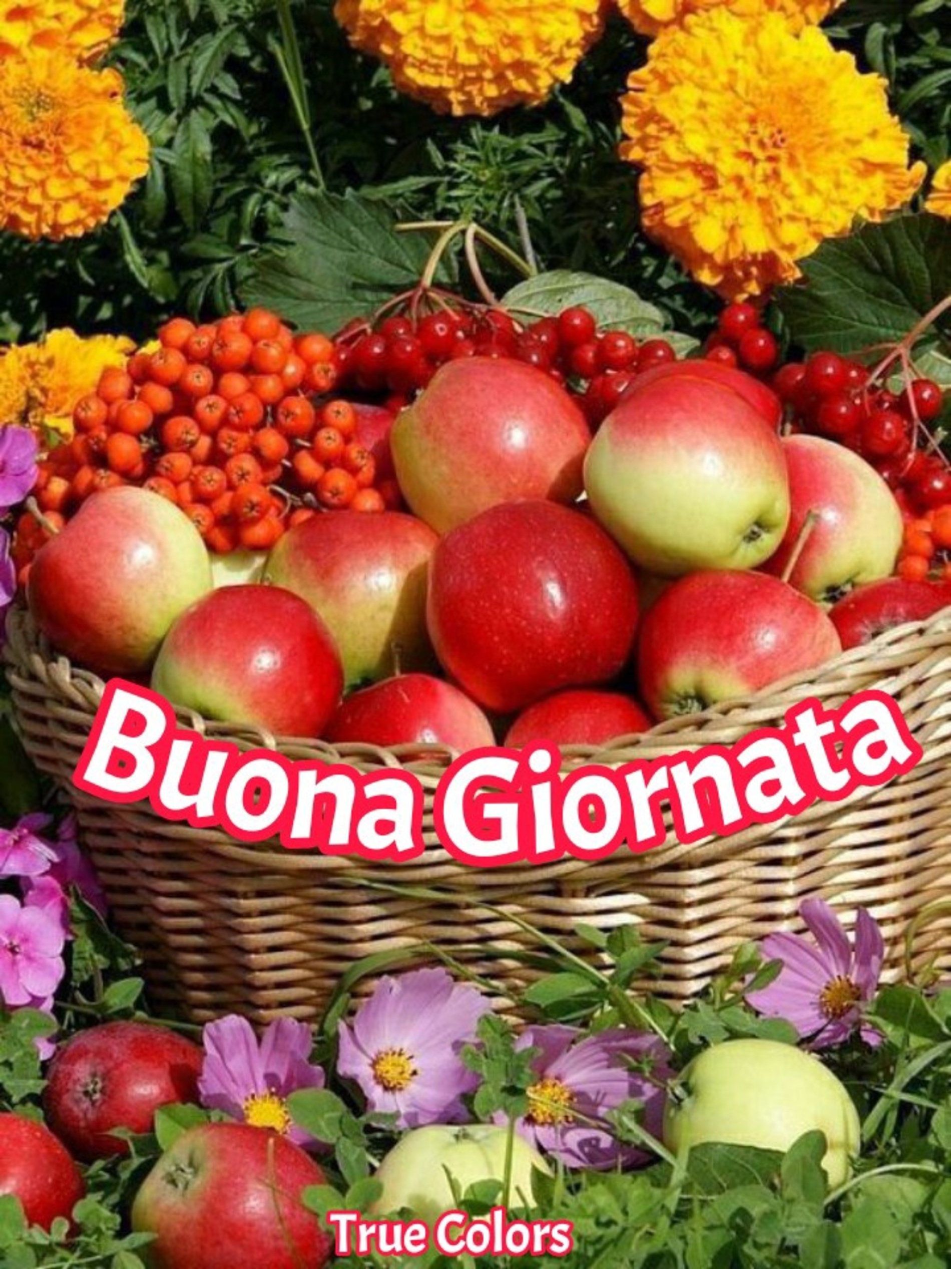 Buona giornata mele