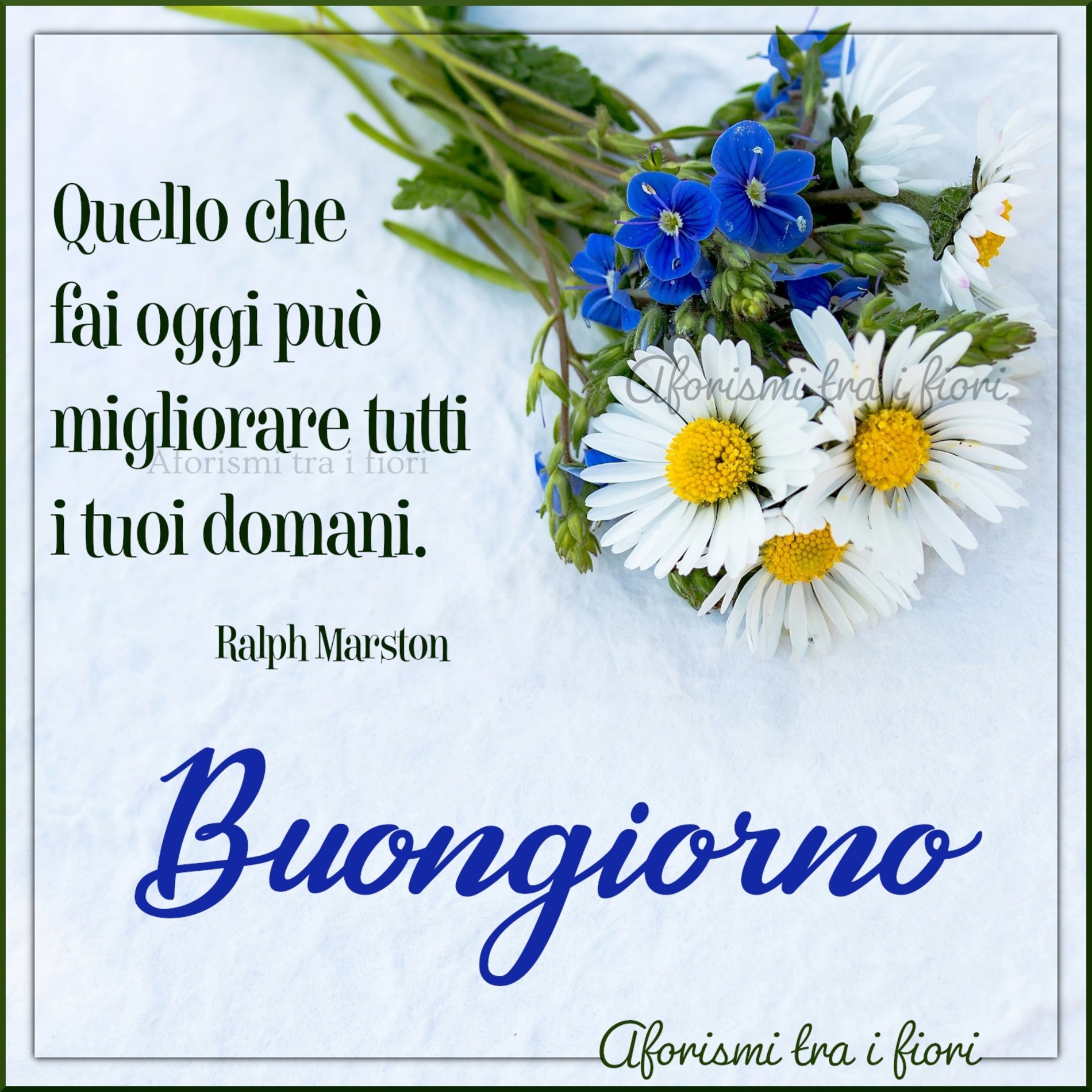 Buondì 13