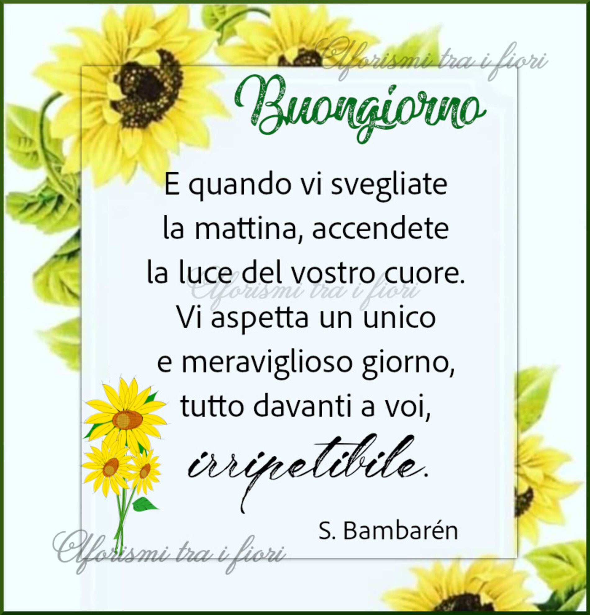 Buongiornissimo 11