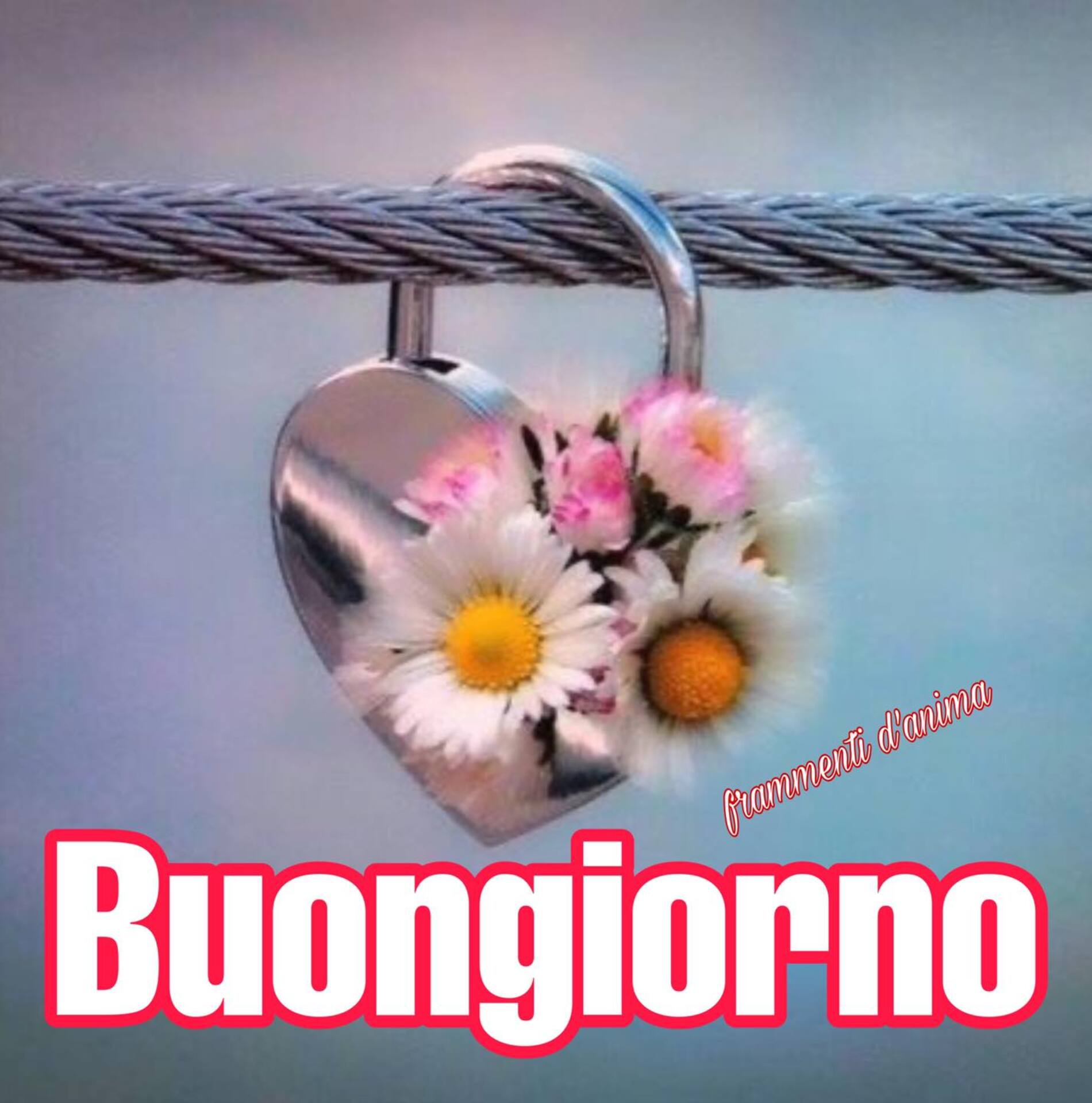 Buongiornissimo 15