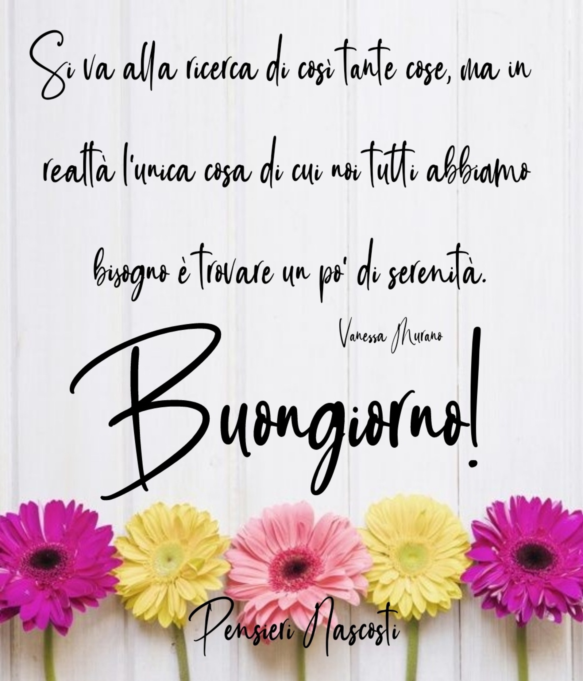 Buongiornissimo 3