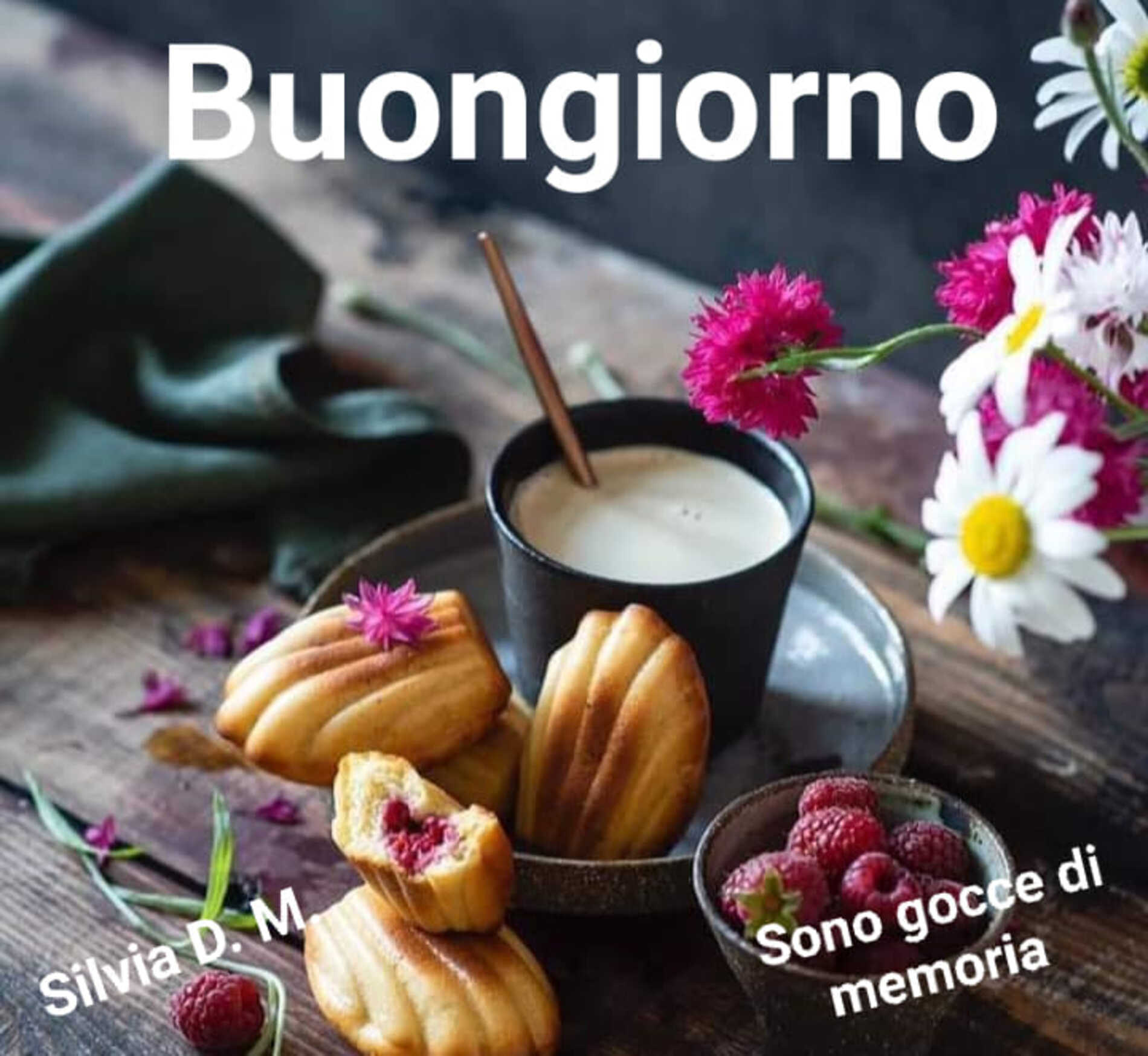 Buongiornissimo 5