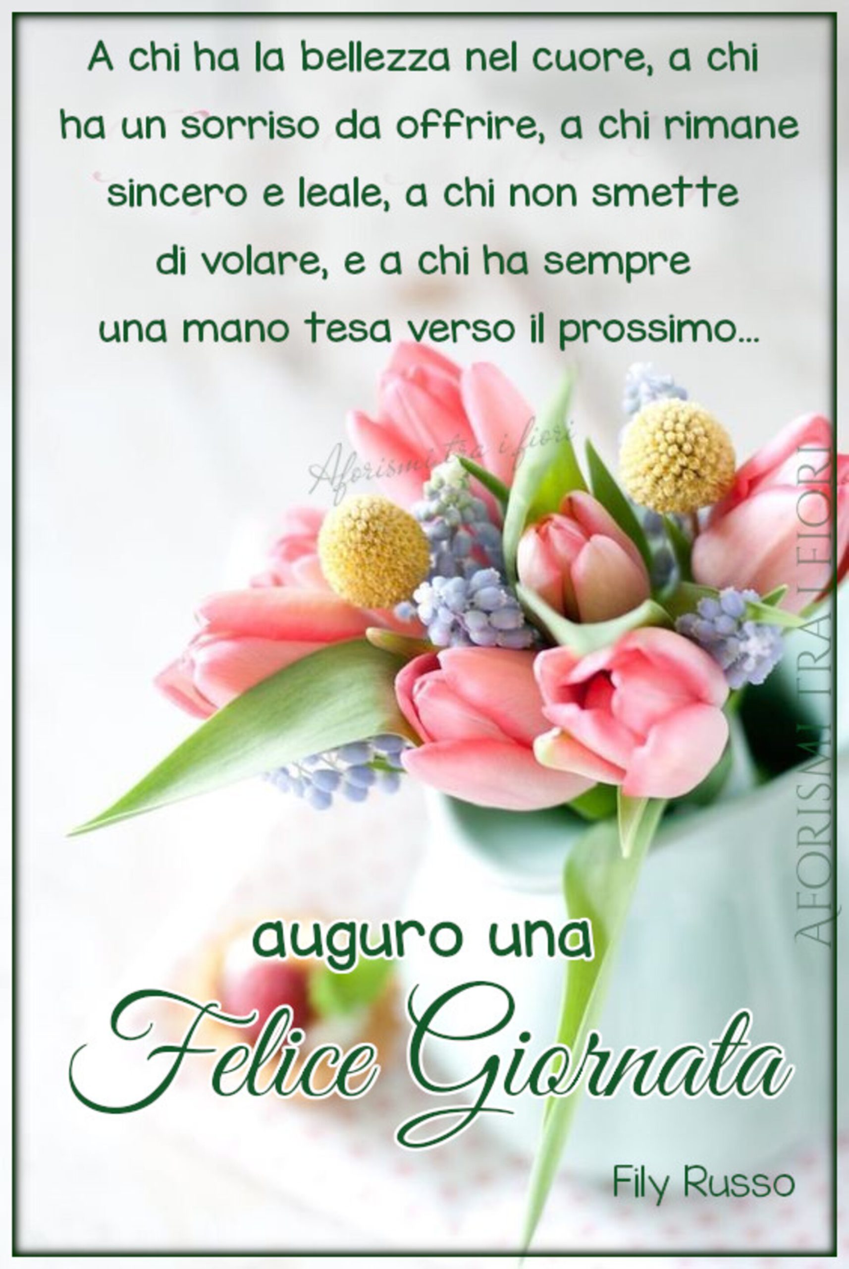 Buongiornissimo 8