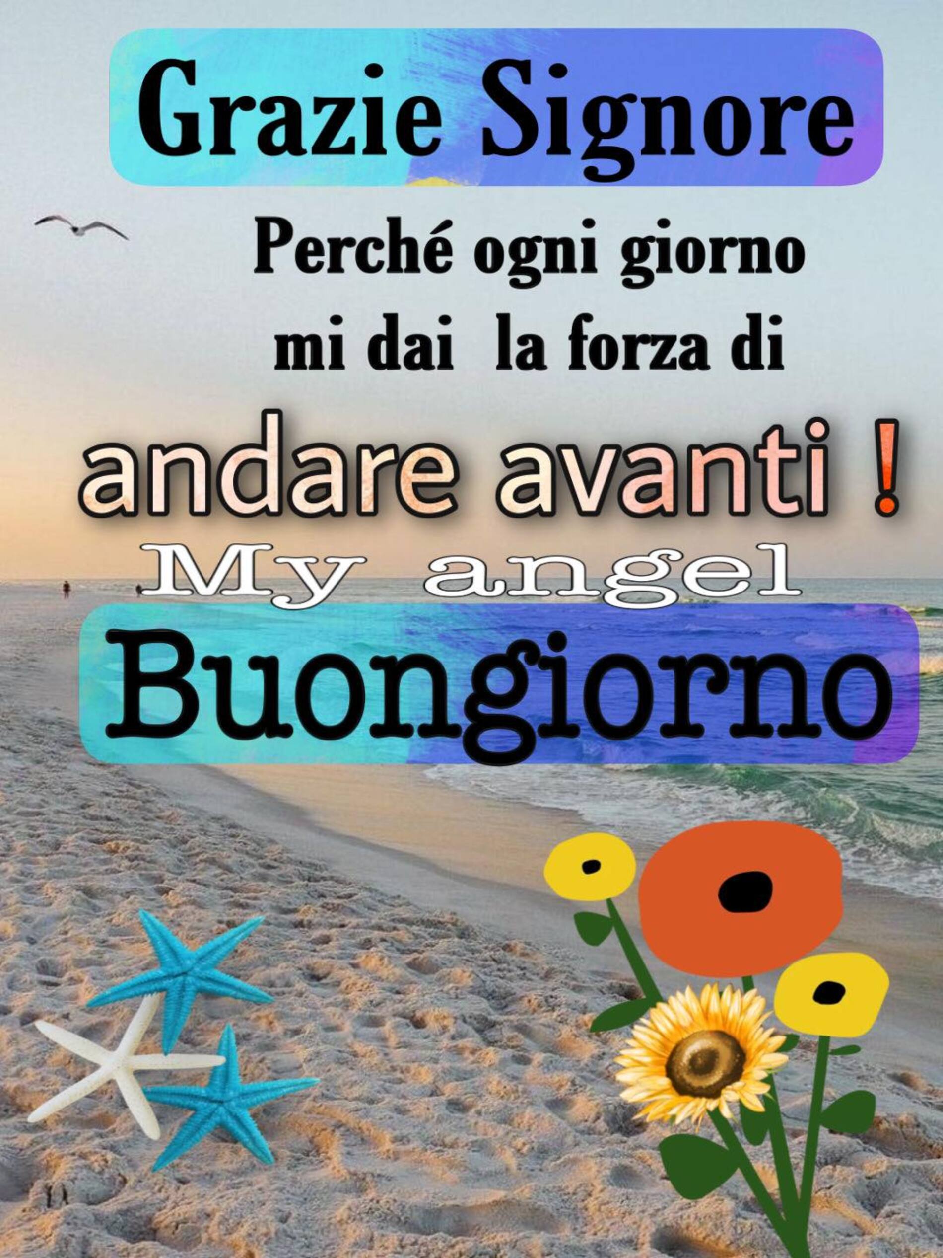 Buongiorno 4