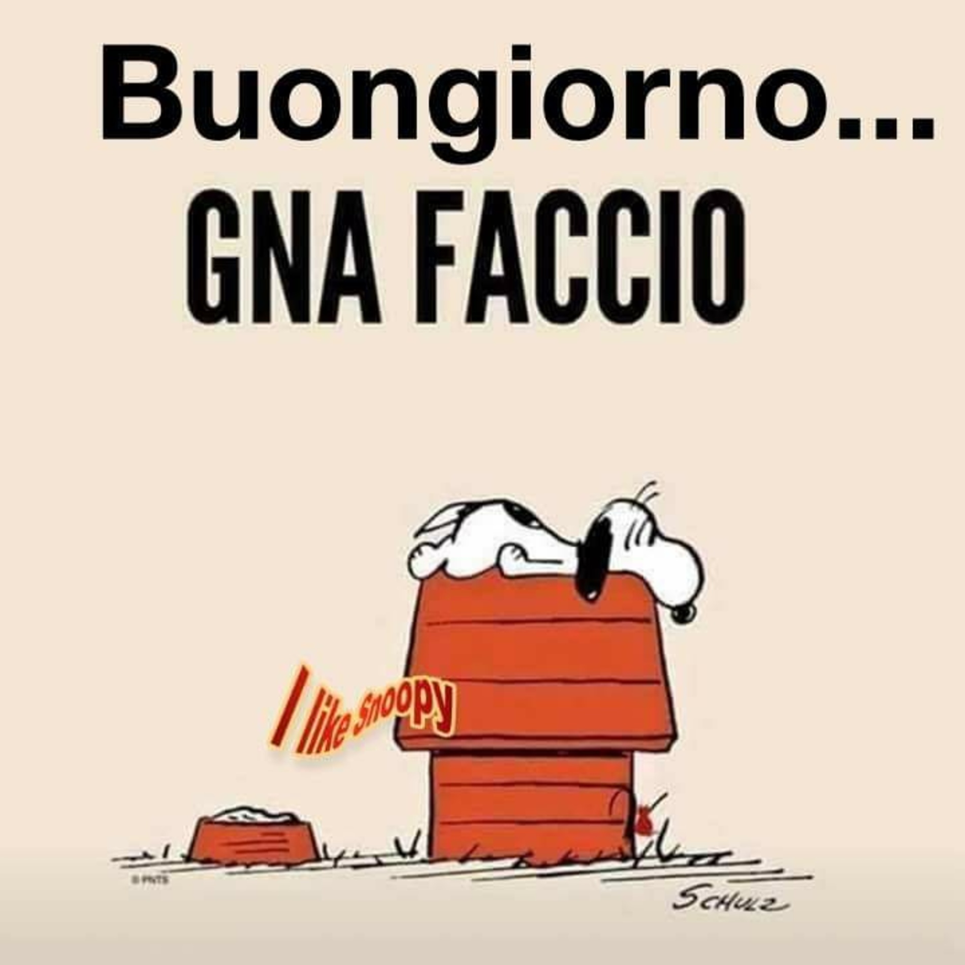 Buongiorno GNA FACCIO