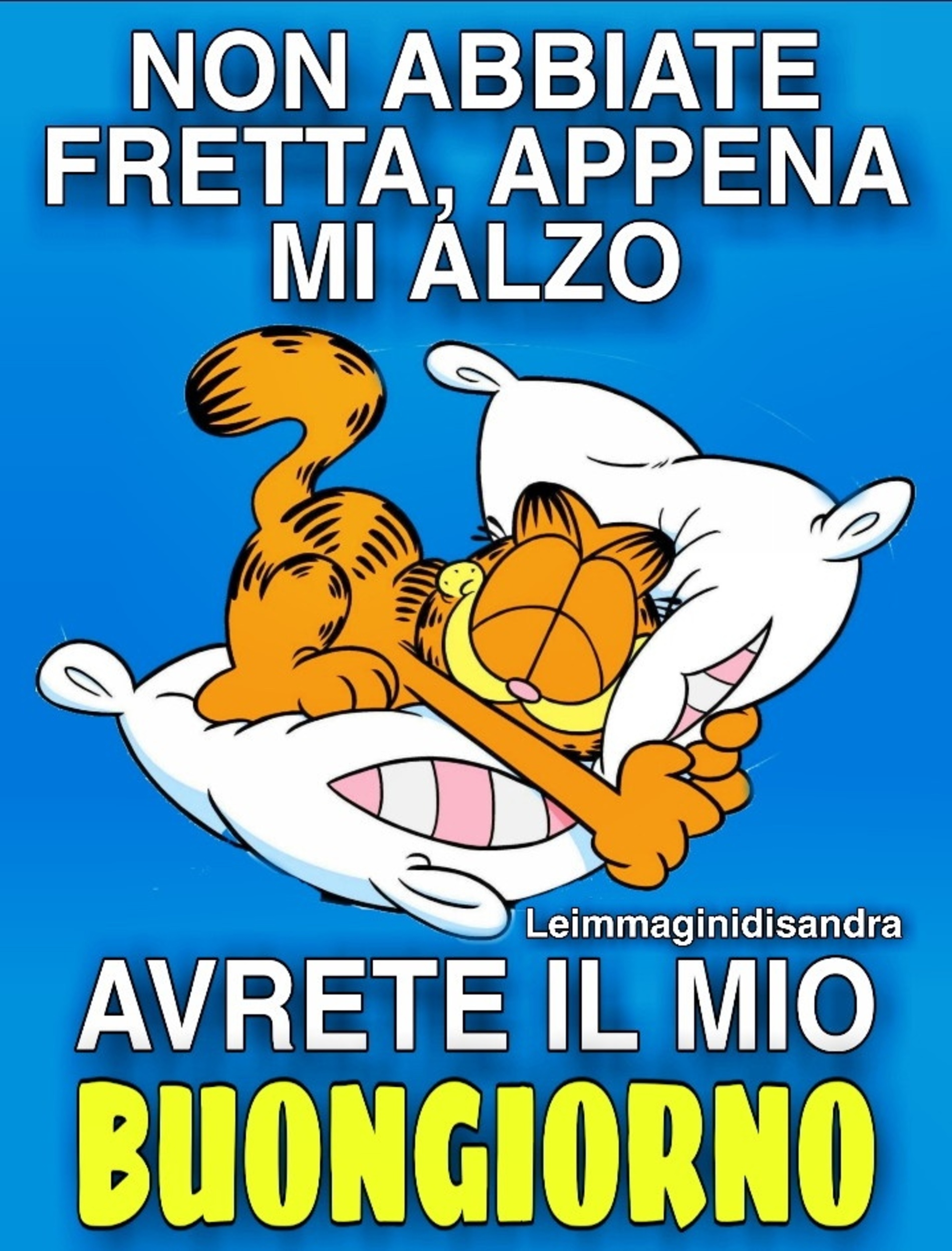 Buongiorno Garfield