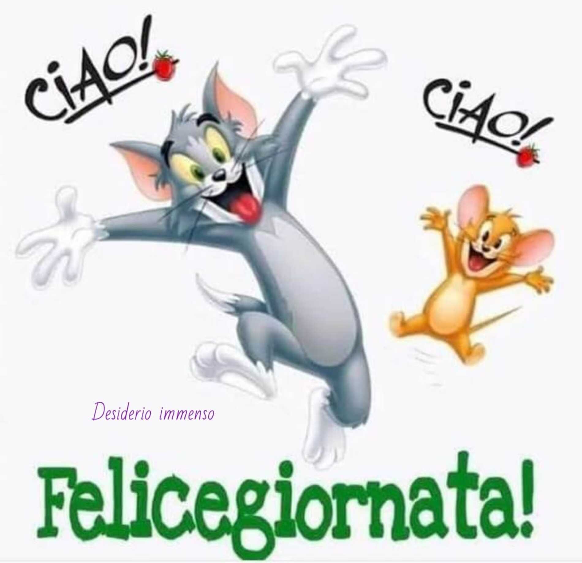 Buongiorno Tom and Jerry