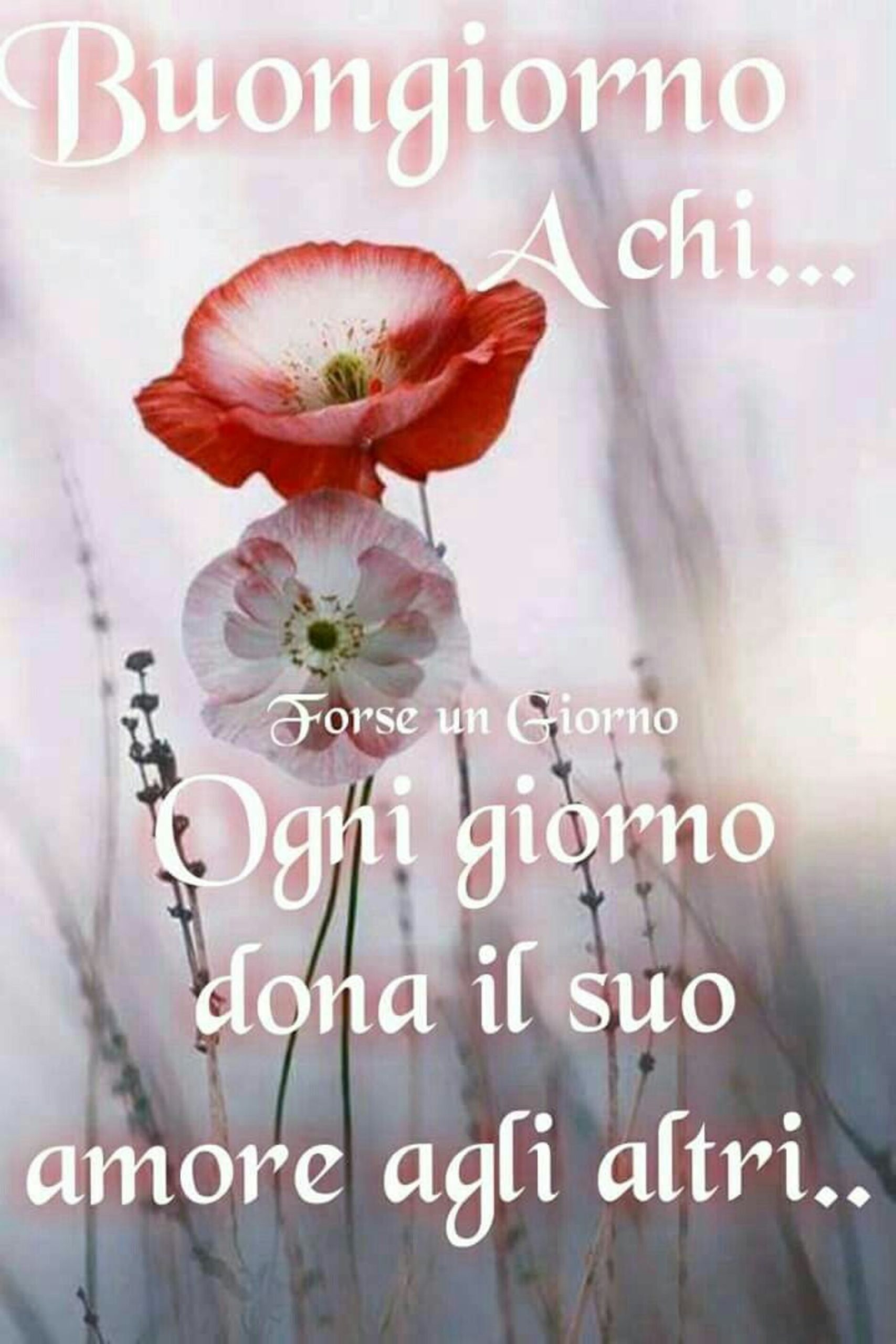 Buongiorno a chi ogni giorno dona il suo amore agli altri