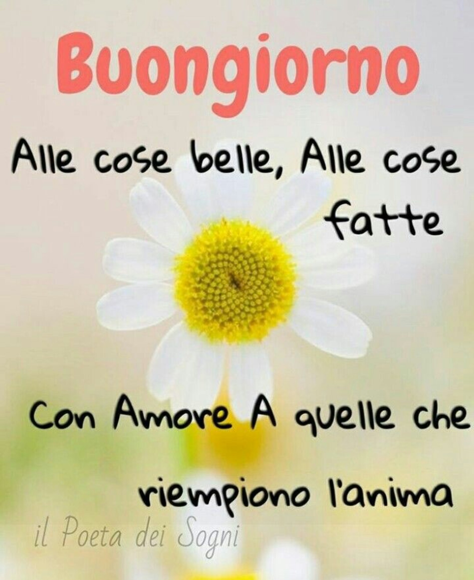 Buongiorno alle cose belle alle cose fatte con amore a quelle che riempiono l