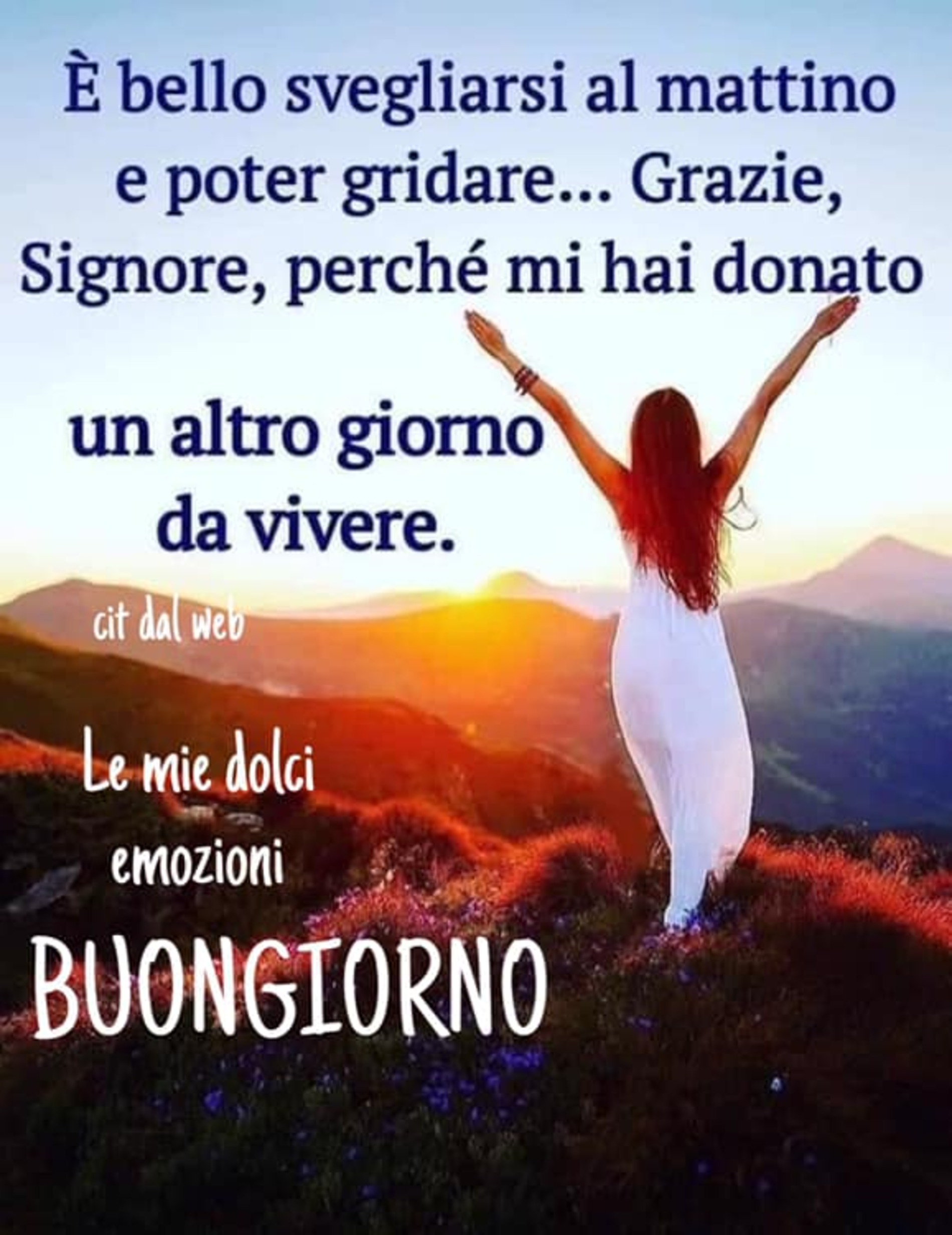 Buongiorno amici 2