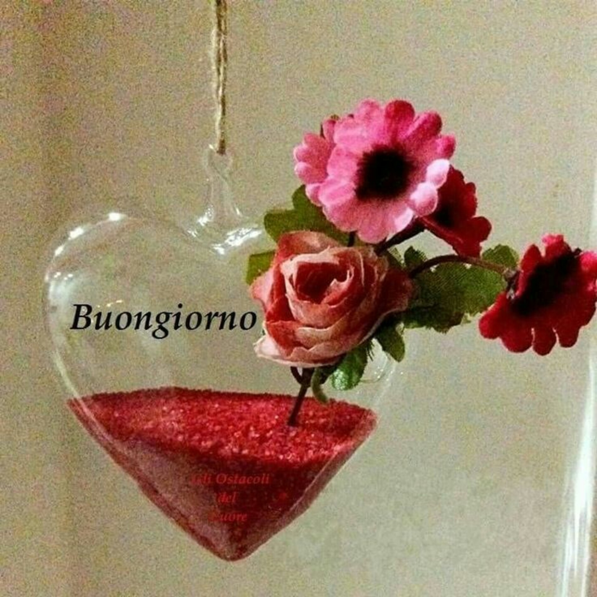 Buongiorno amore (14)