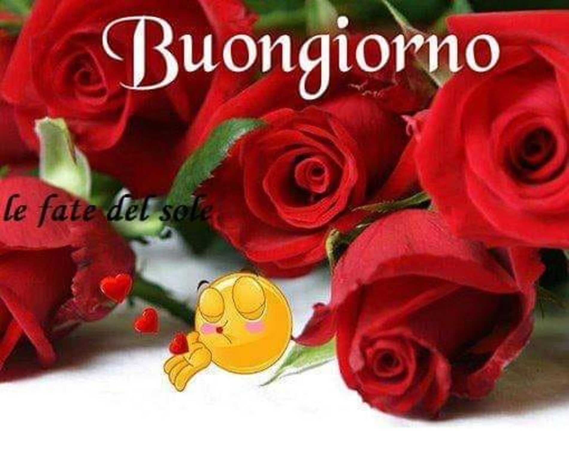 Buongiorno amore (3)