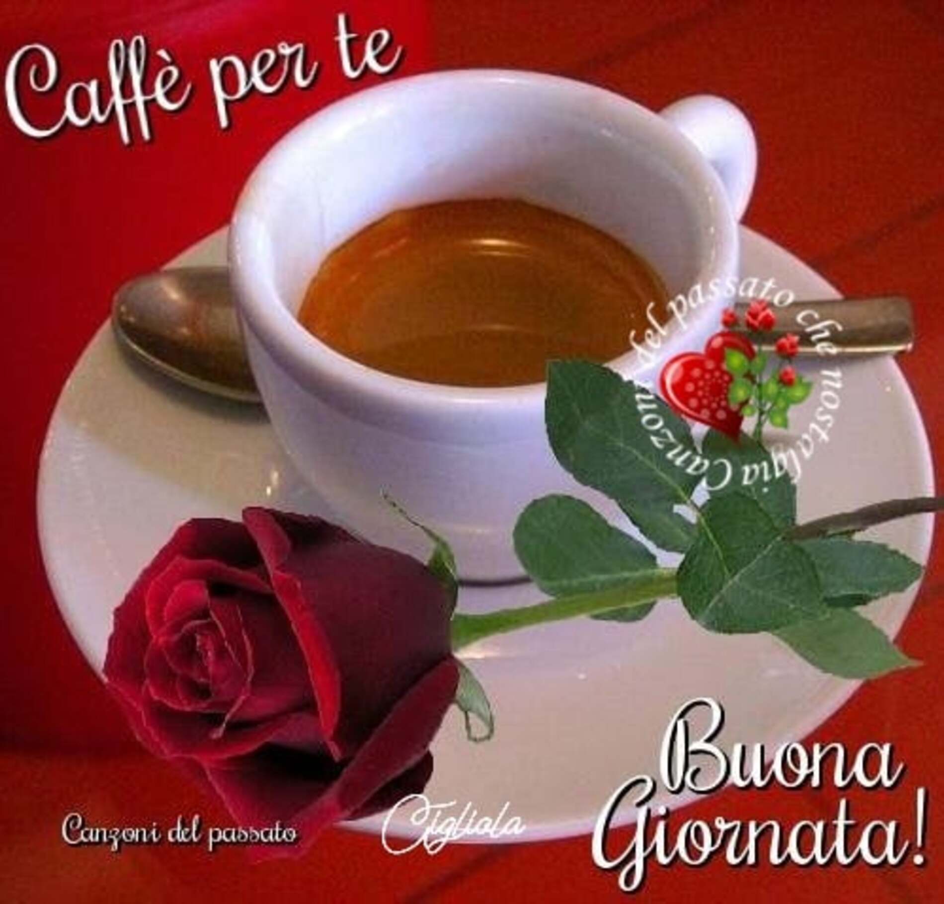 Buongiorno amore (9)