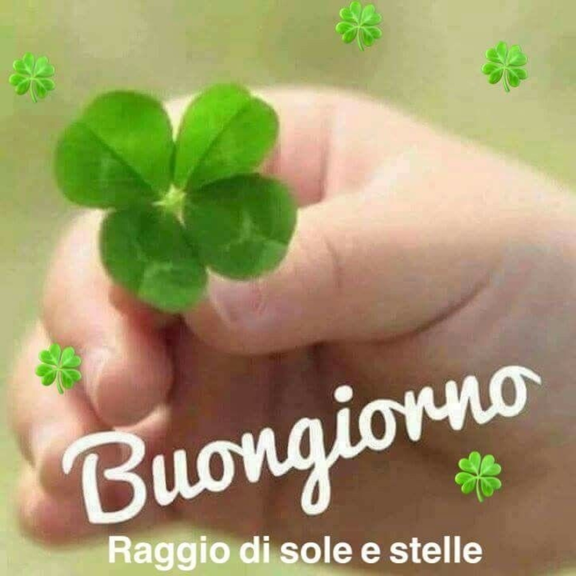 Buongiorno col quadrifoglio