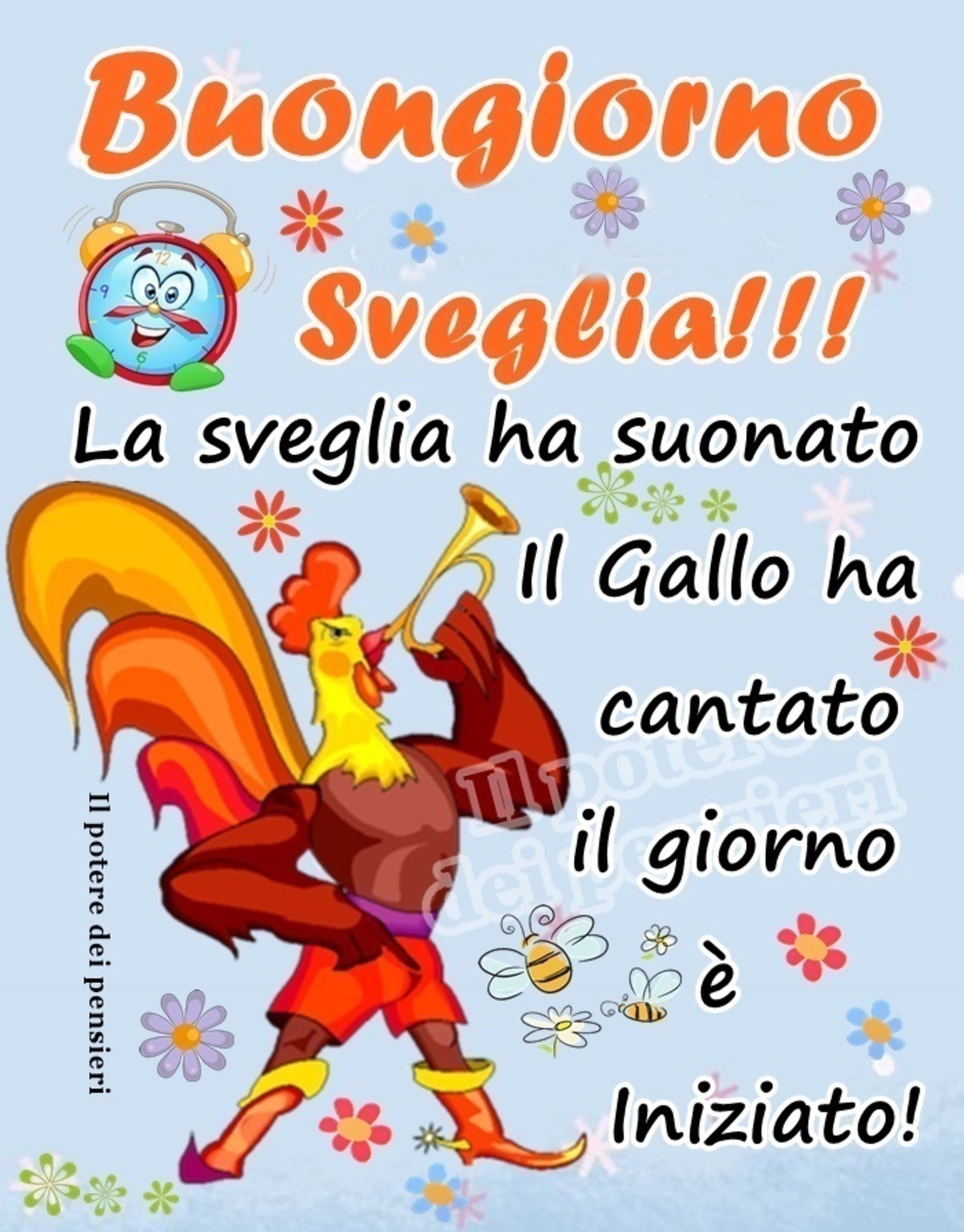 Buongiorno gallo