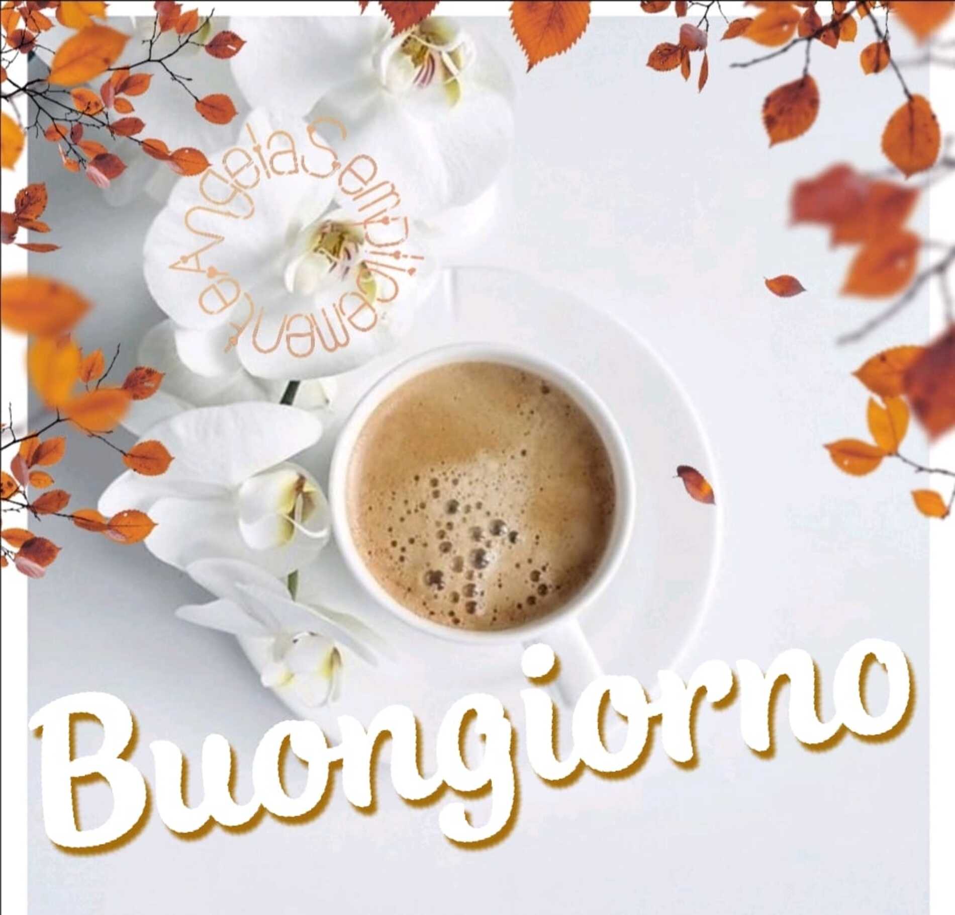 Buongiorno gratis 12