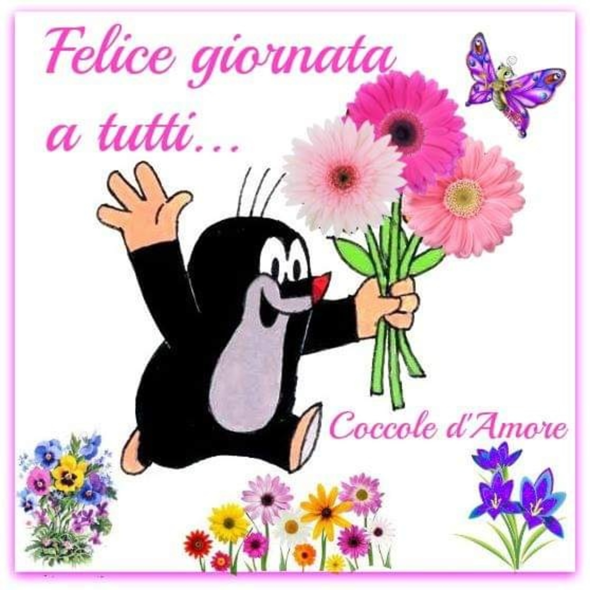 Buongiorno gratis 13