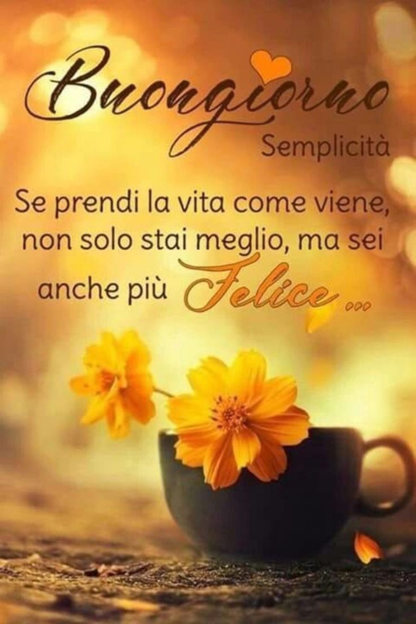 Buongiorno se prendi la vita come viene non solo stai meglio ma sei anche più felice