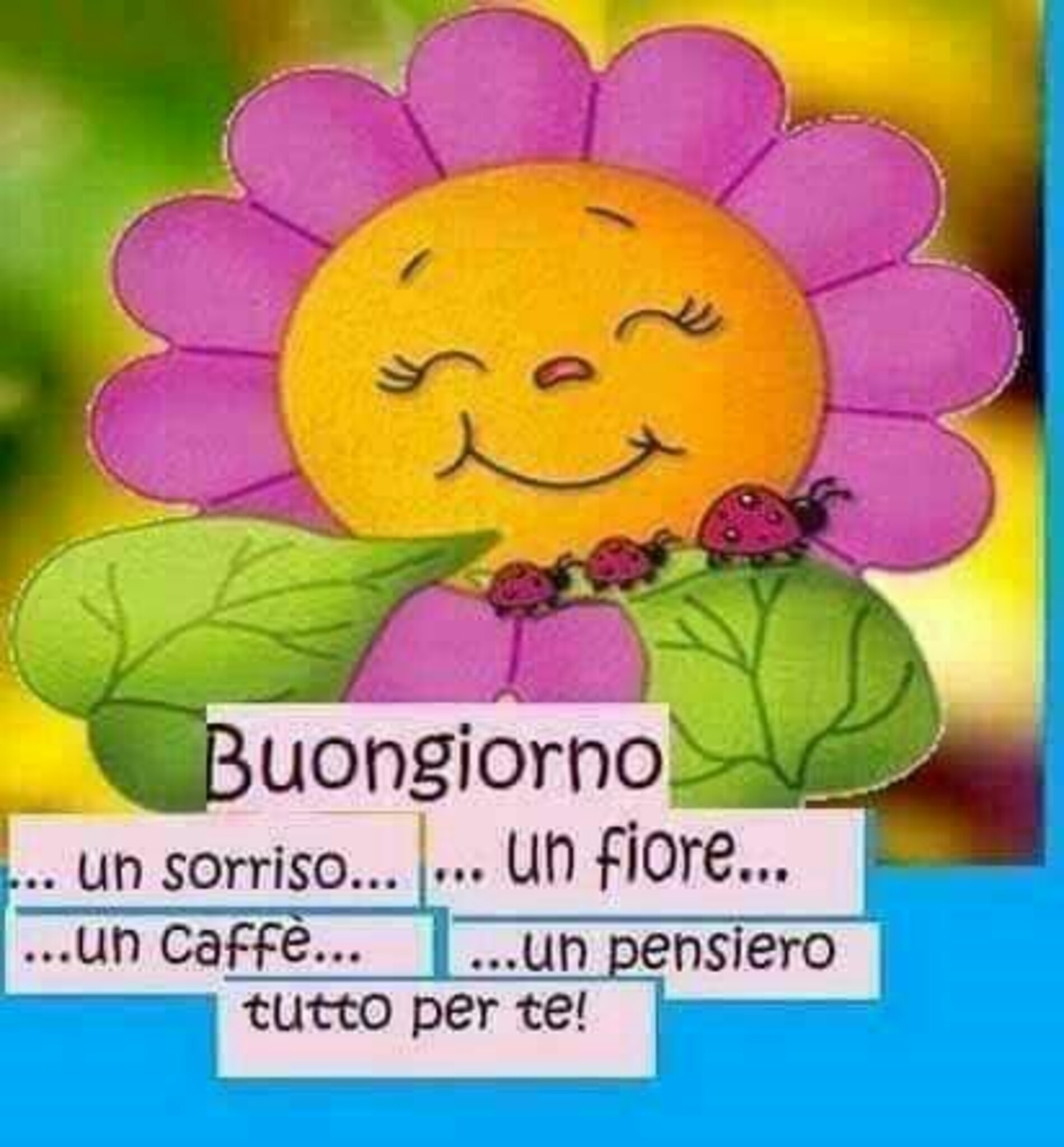 Buongiorno un sorriso un fiore un caffè un pensiero tutto per te