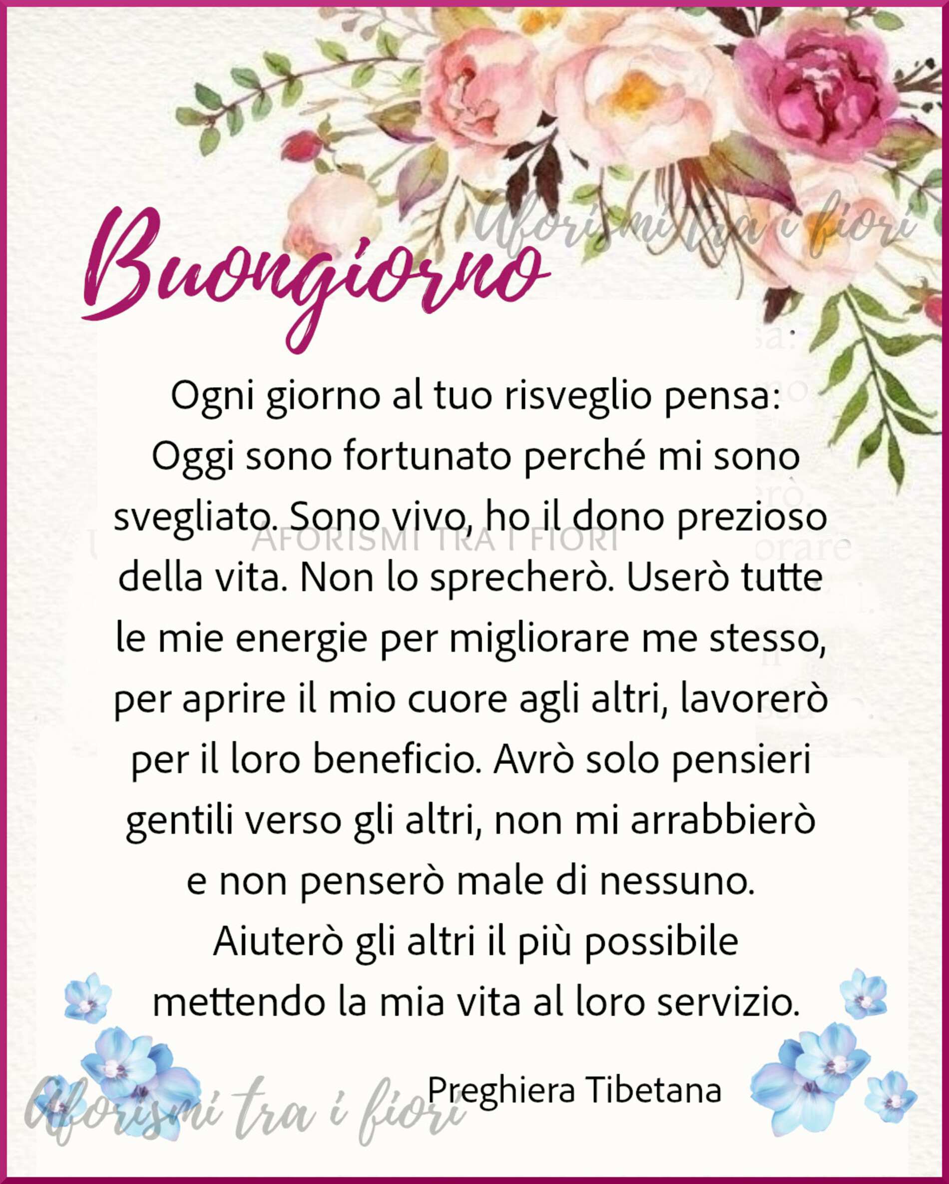 Cartoline di buongiorno gratis da condividere 14