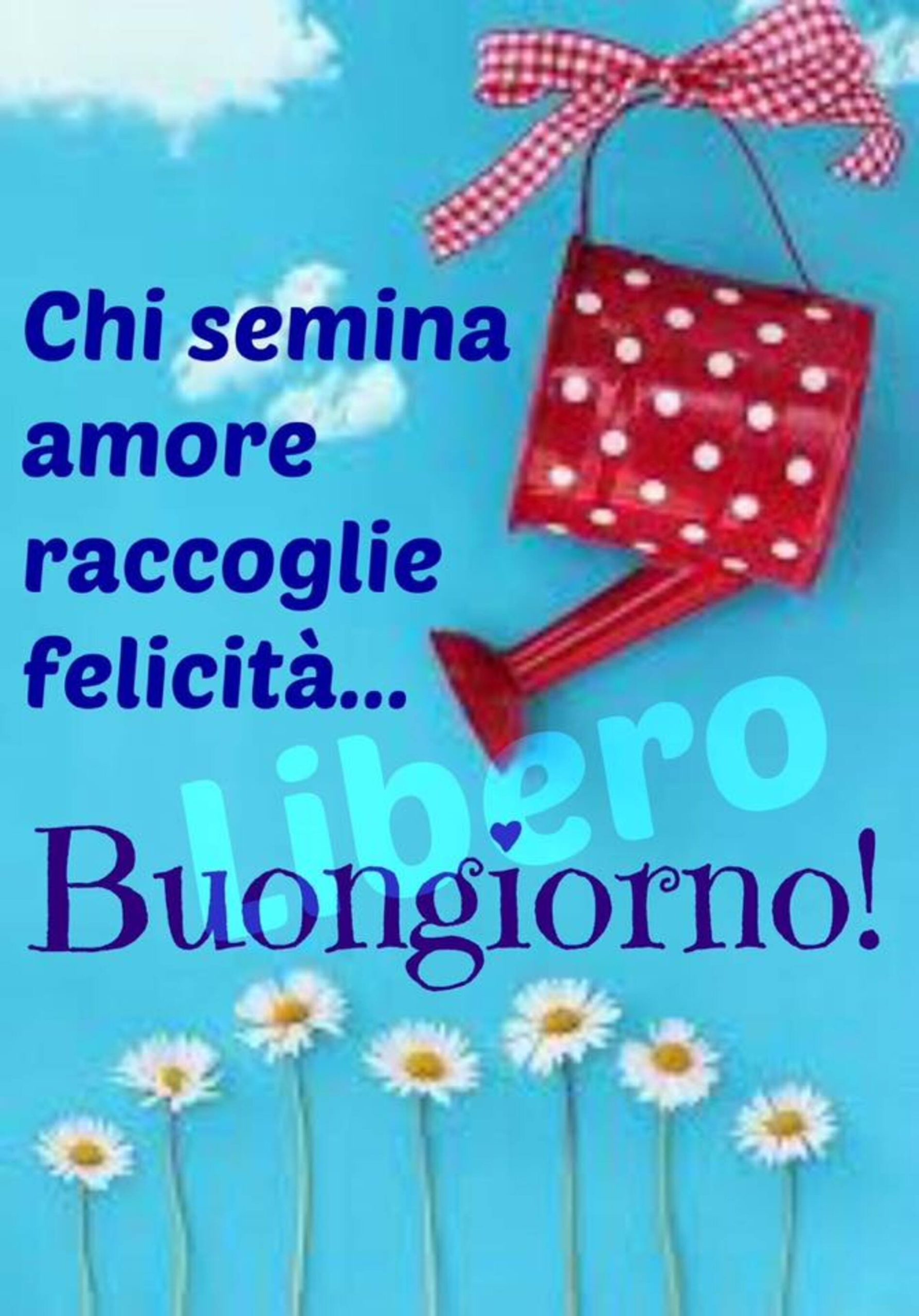 Chi semina amore raccoglie felicità buongiorno