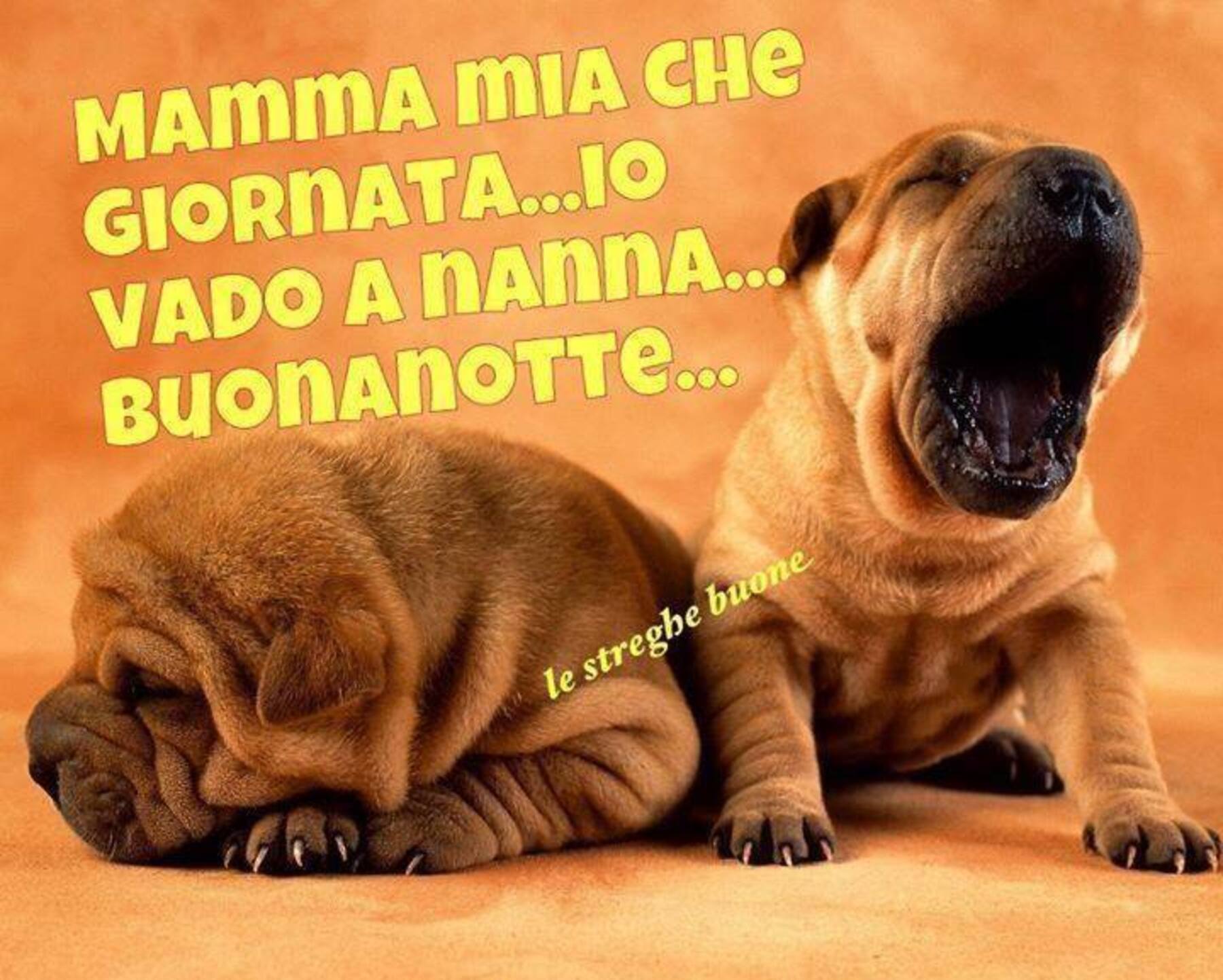 Mamma mia che giornata io vado a nanna buonanotte