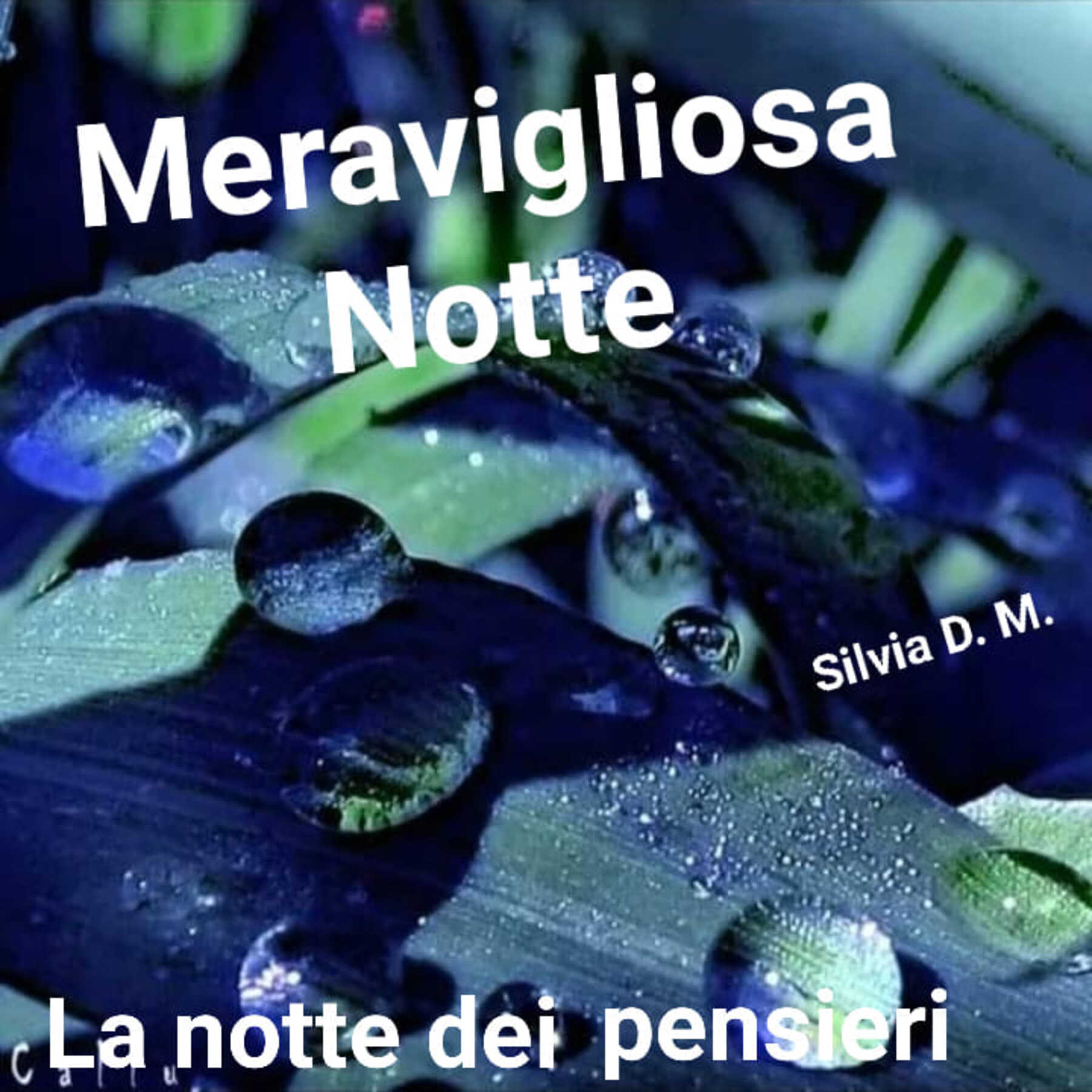 Meravigliosa notte