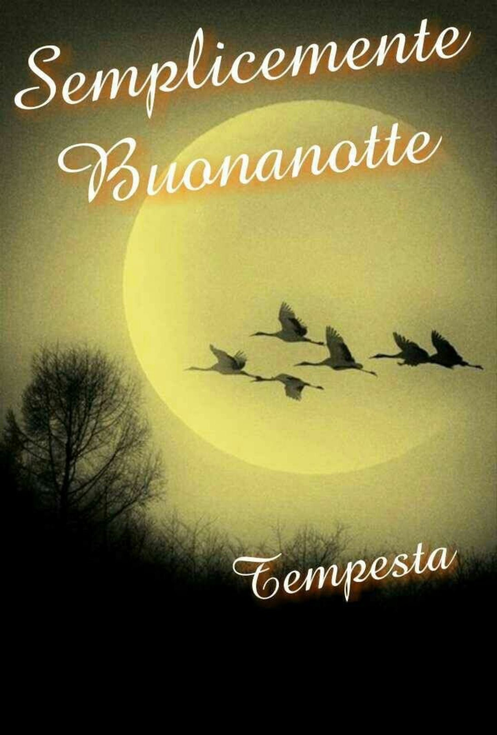 Semplicemente buonanotte