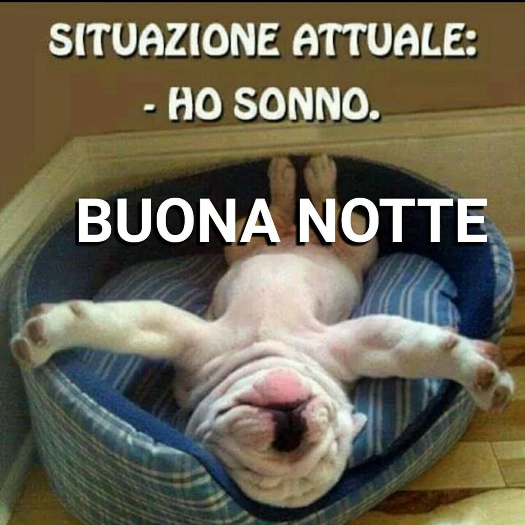 Situazione attuale ho sonno Buona Notte