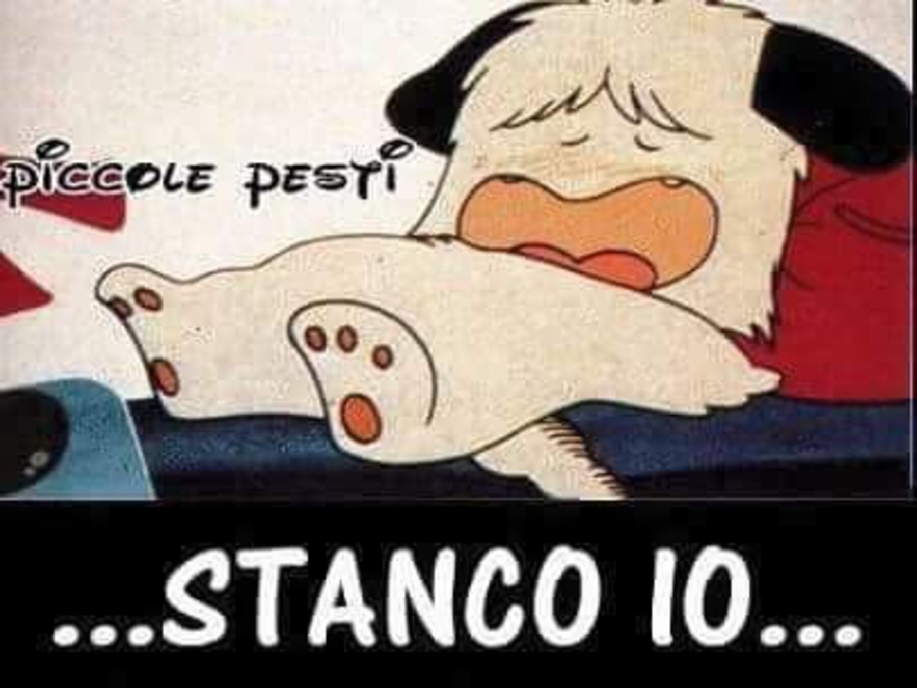 Stanco io