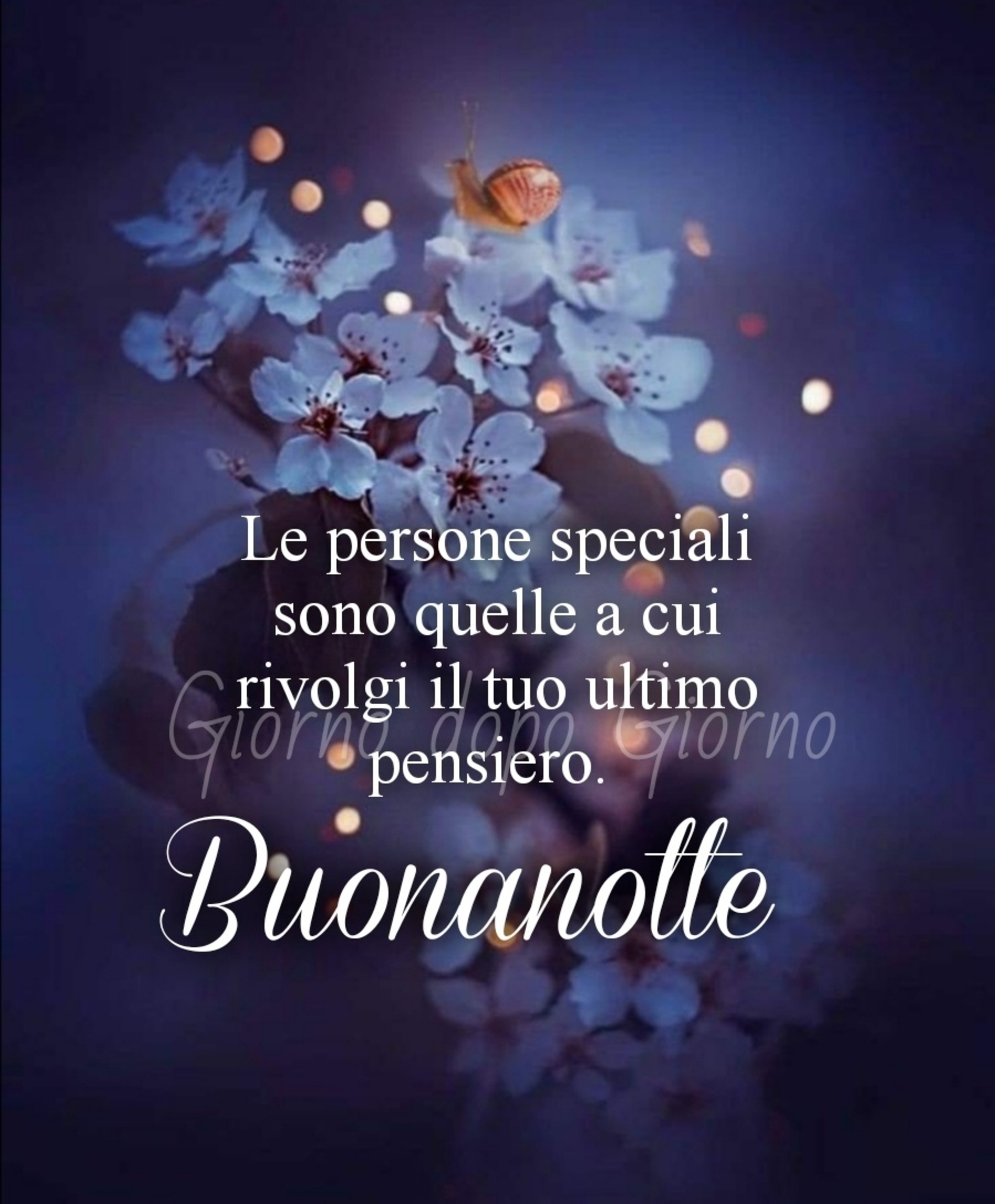 Bellissime immagini per gli auguri della buonanotte 7