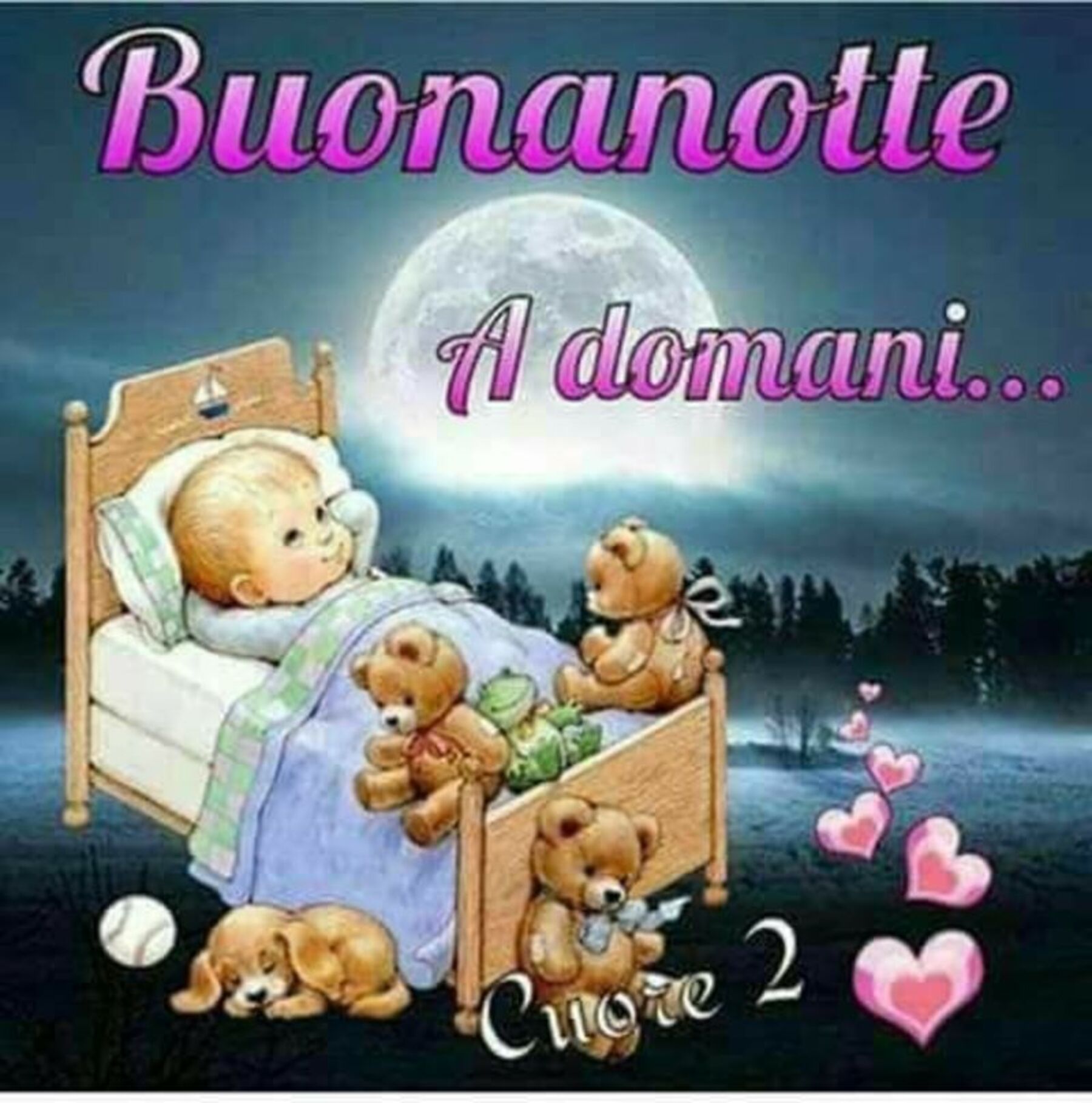 Bnotte 2