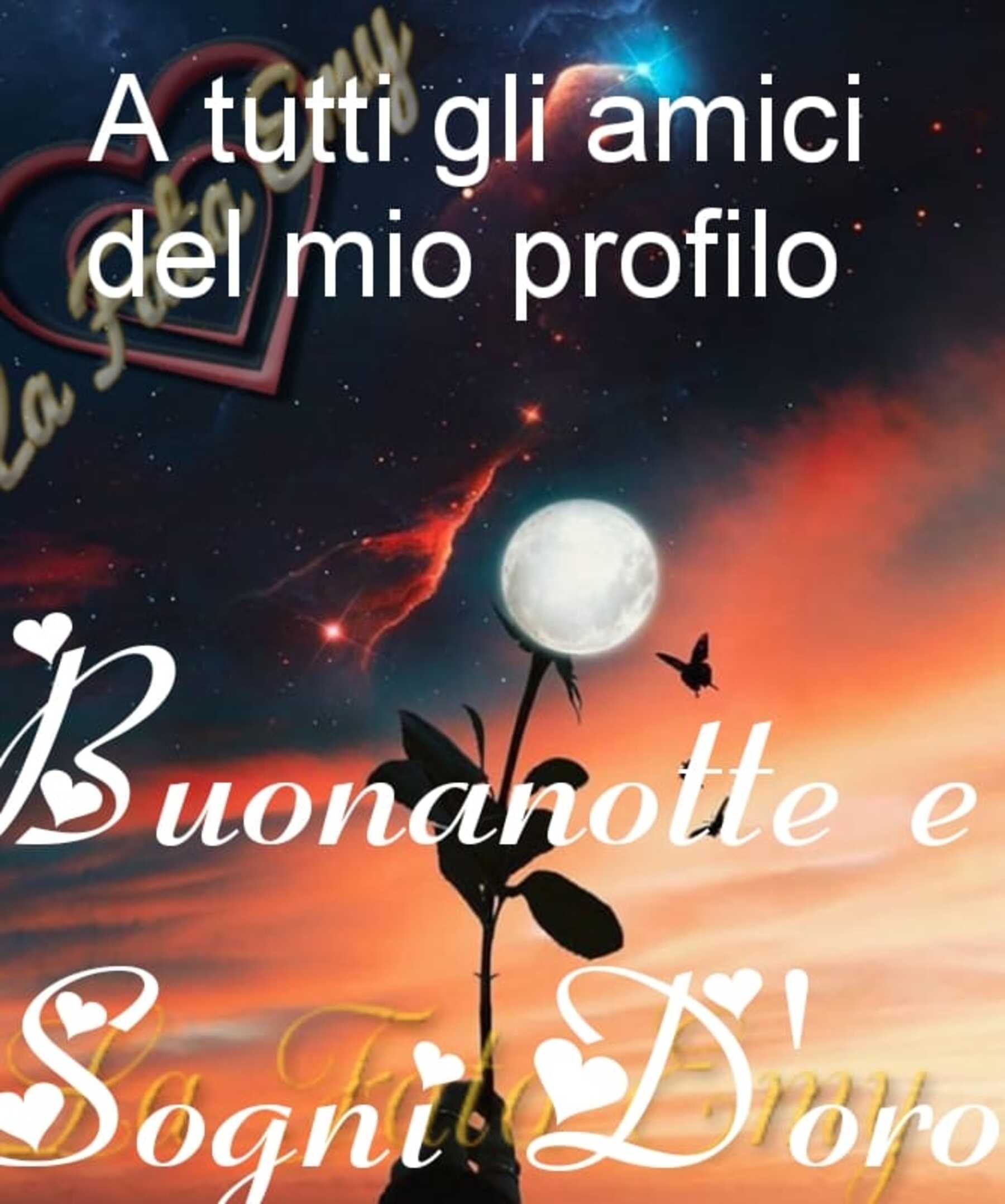 Buona notte 14