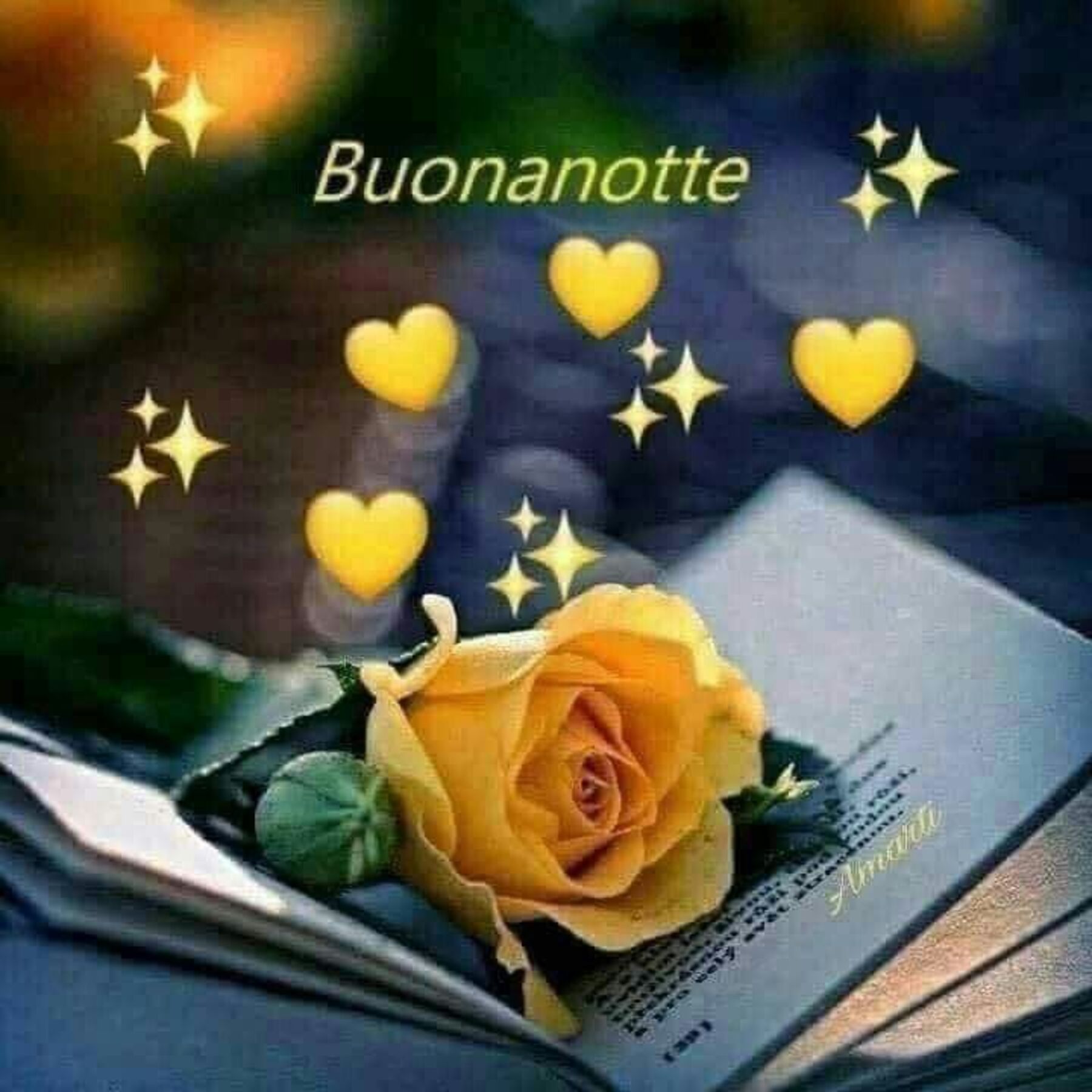 Buona notte rosa gialla