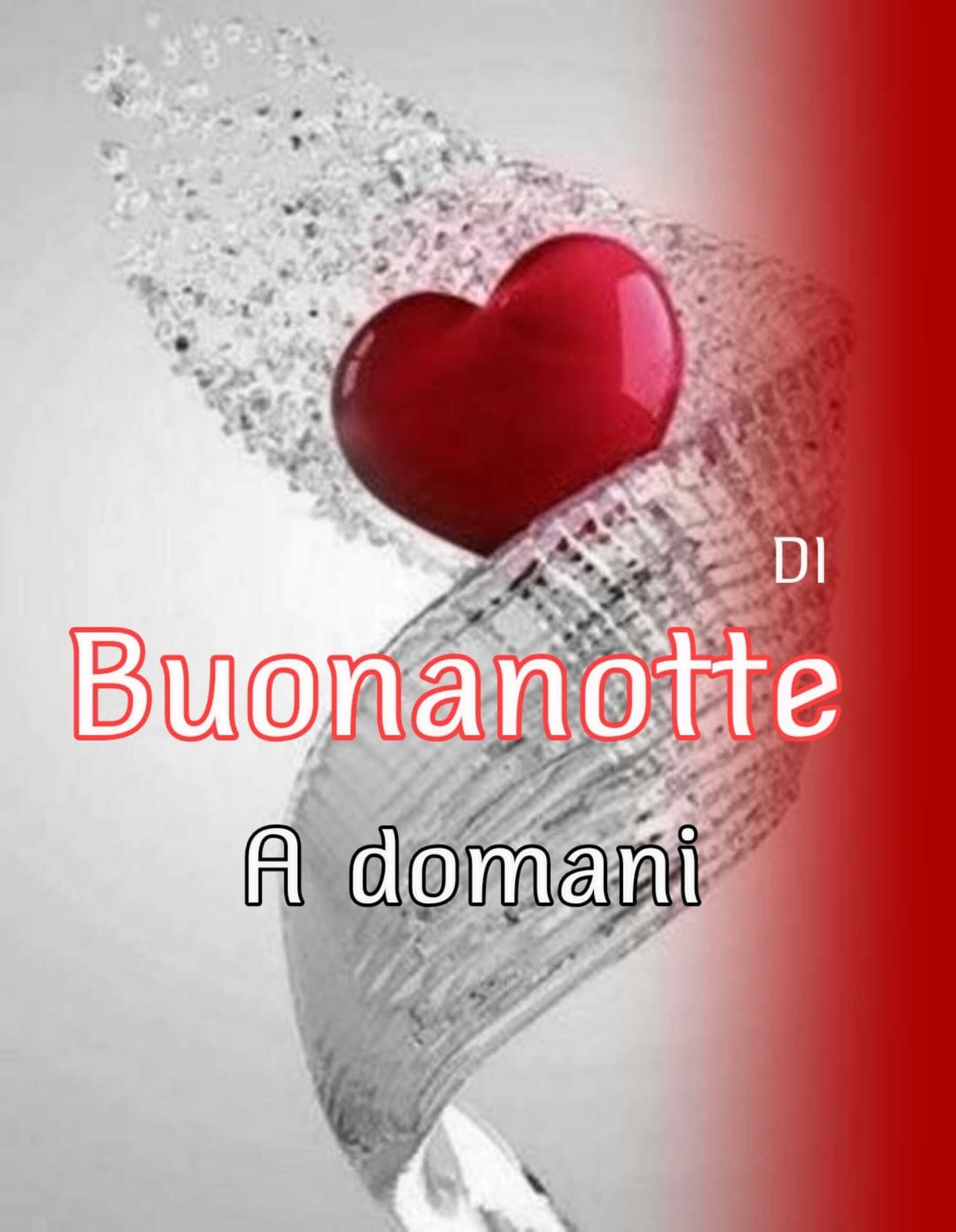 Buonanotte 4