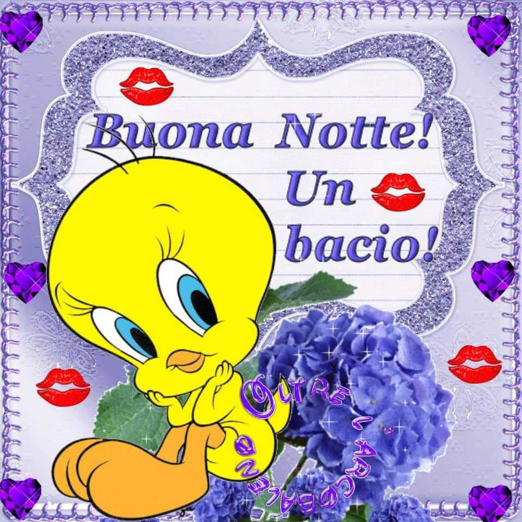 Buonanotte 9