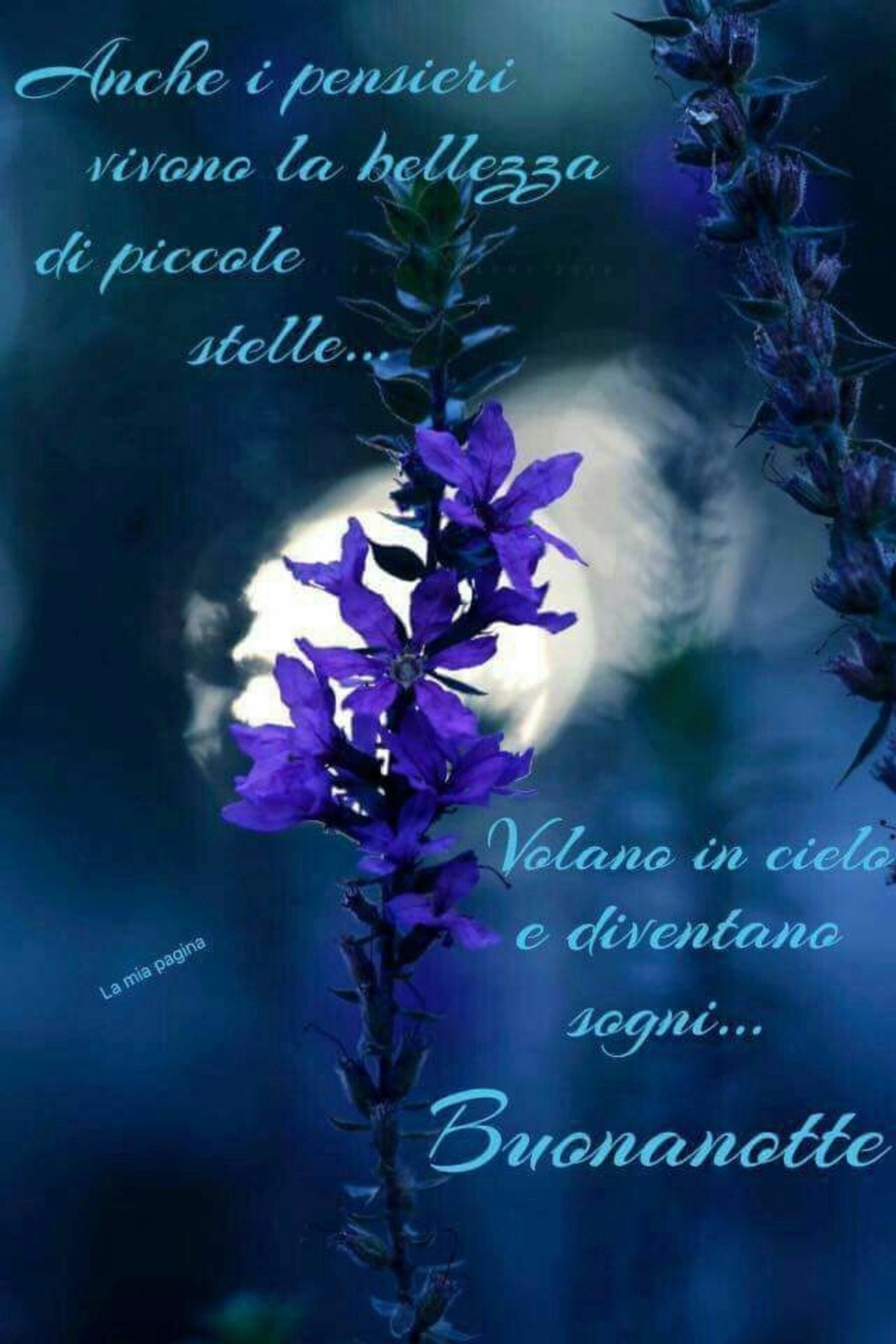 Buonanotte a domani un abbraccio a tutti 4